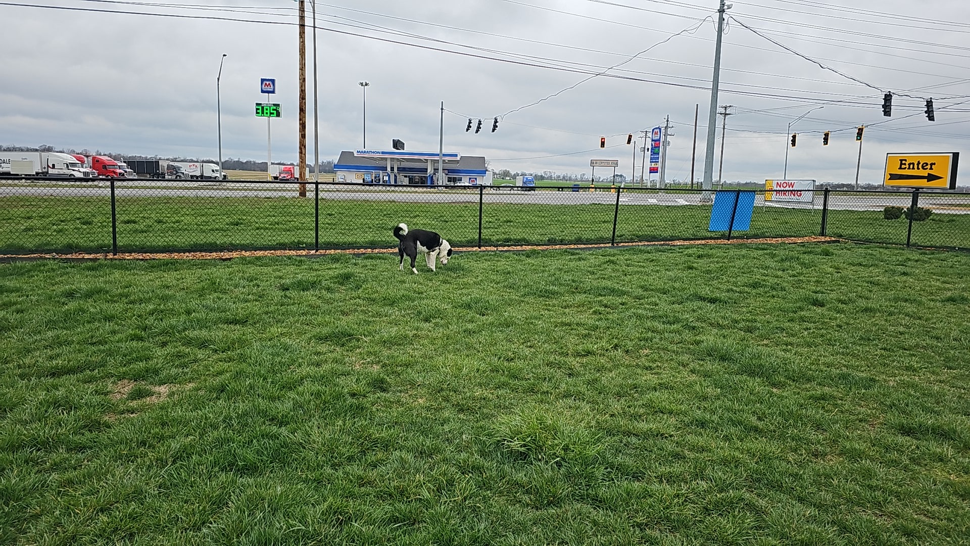 Dog Park at Love's Travel Stops - Oak Grove, KY