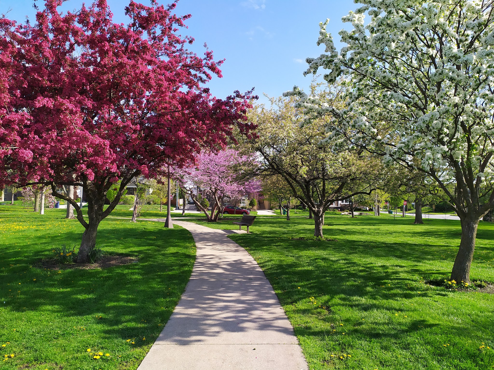 Taylor Park - Oak Park, IL