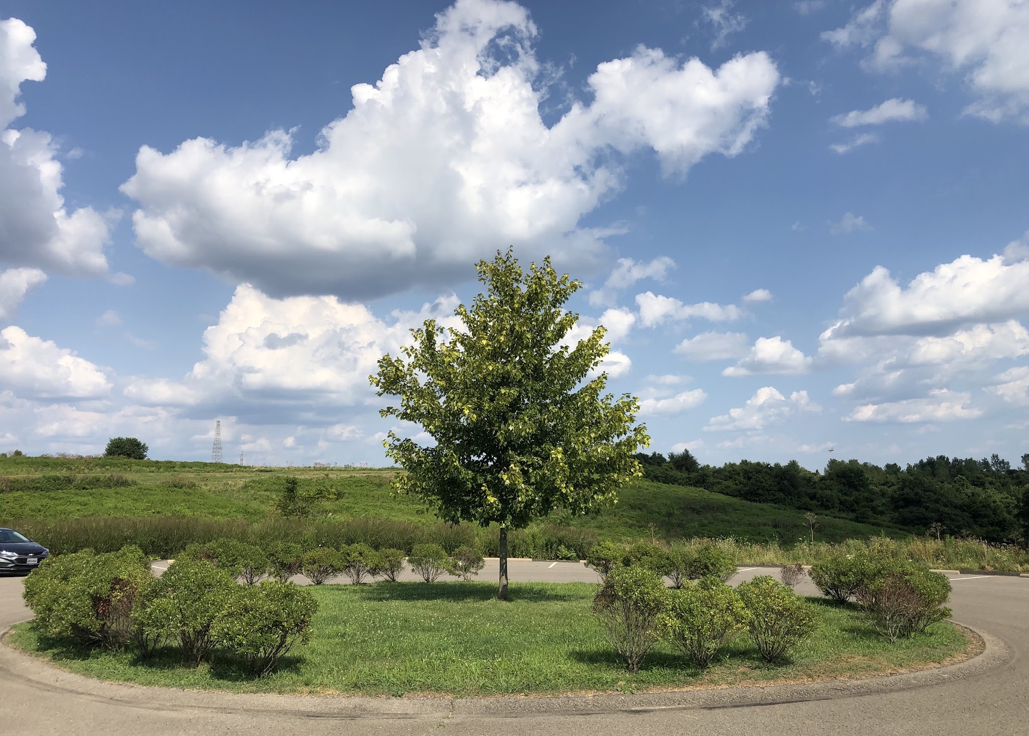 Hilltop Walking Path Park - Oakdale, PA