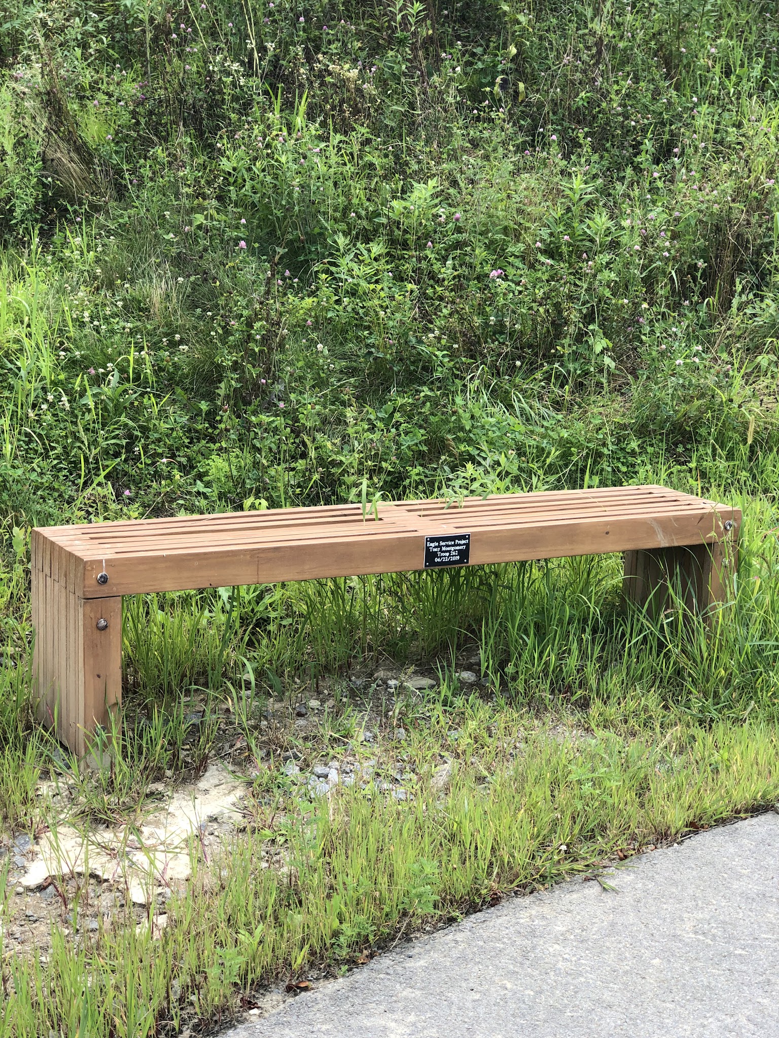 Hilltop Walking Path Park - Oakdale, PA