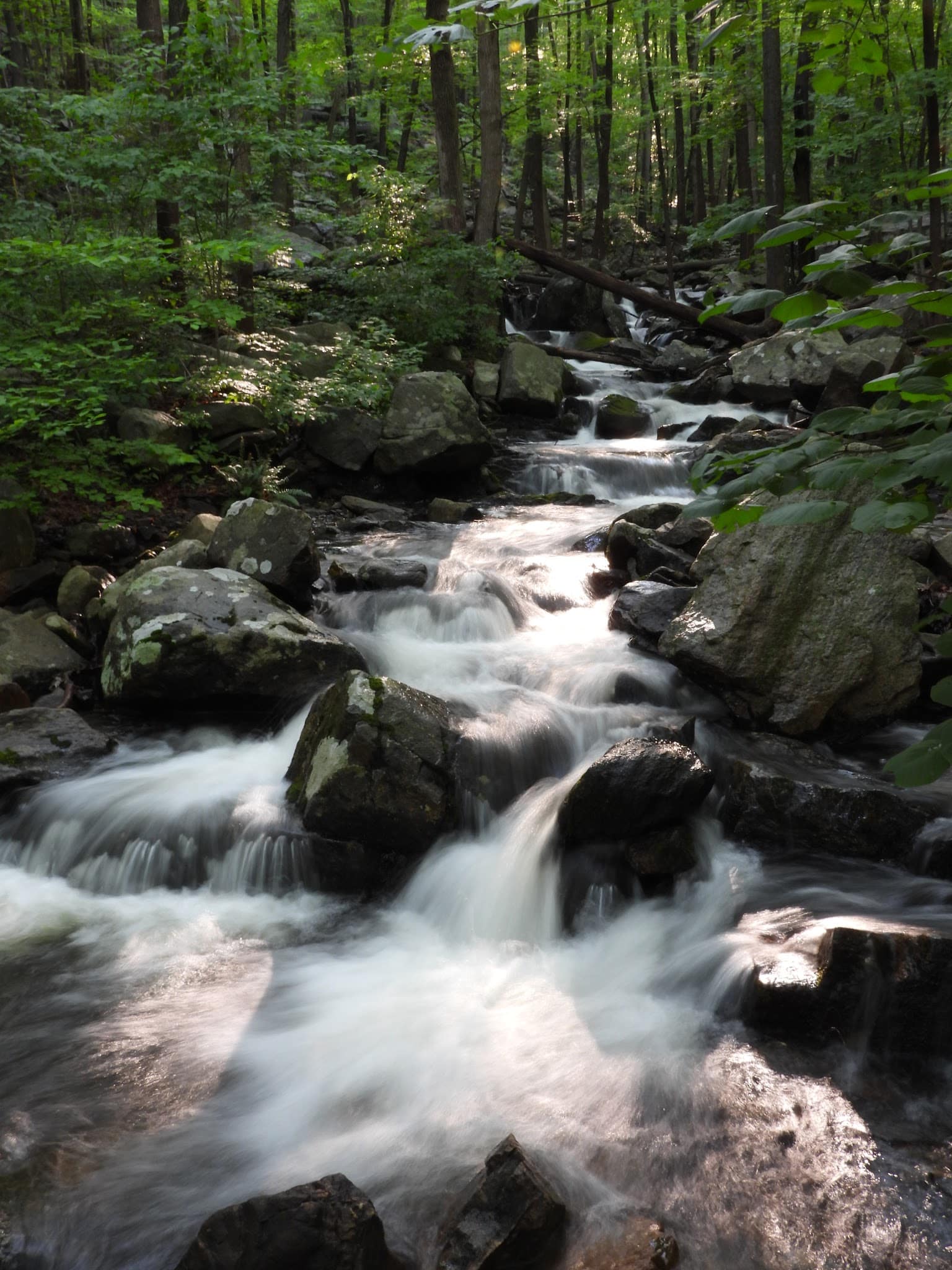 Ramapo Lake Trailhead - Oakland, NJ