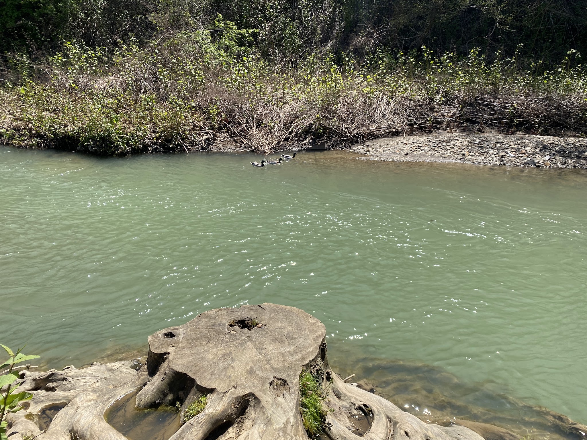 Creekside Park - Oakmont, PA