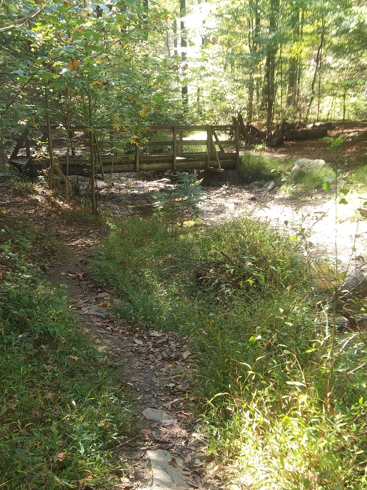 Dark Hollow Woods Nature Reserve - Oakmont, PA