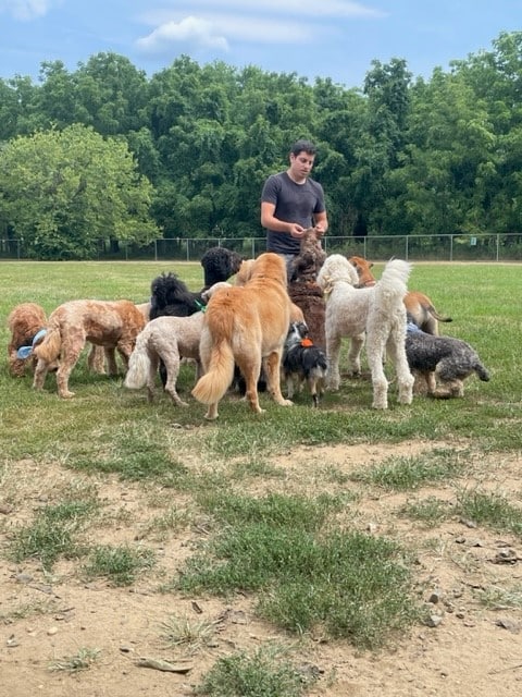 Happy Tails Dog Camp New Jersey - Ocean Township, NJ