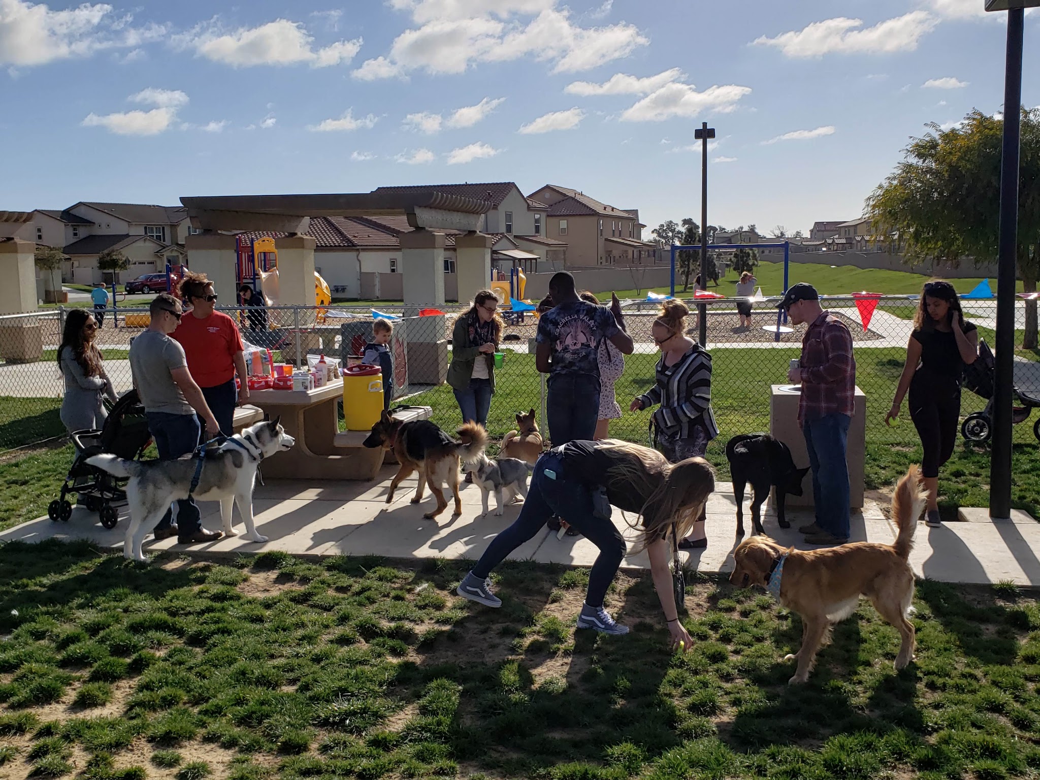 Harborview / Seaside Village Dog Park - Oceanside, CA
