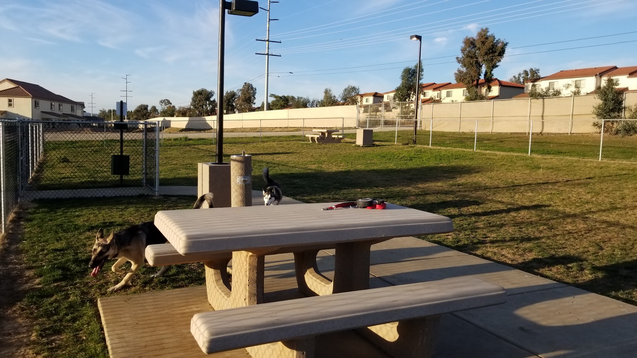 Harborview / Seaside Village Dog Park - Oceanside, CA