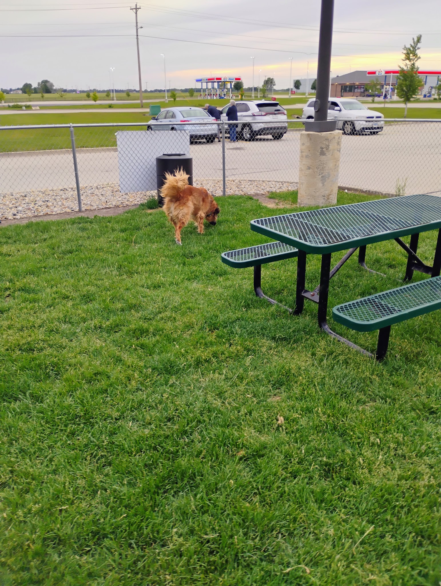 Dog Park at Love’s Travel Stops - Oglesby, IL