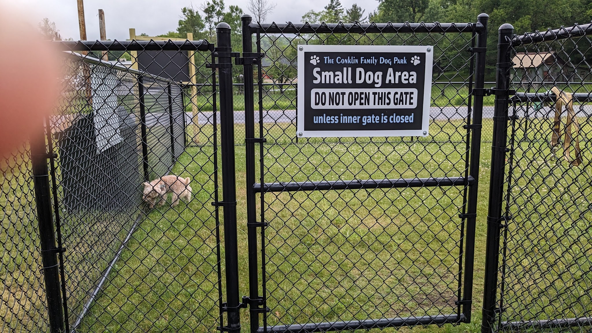 Dog Park - Old Forge, NY
