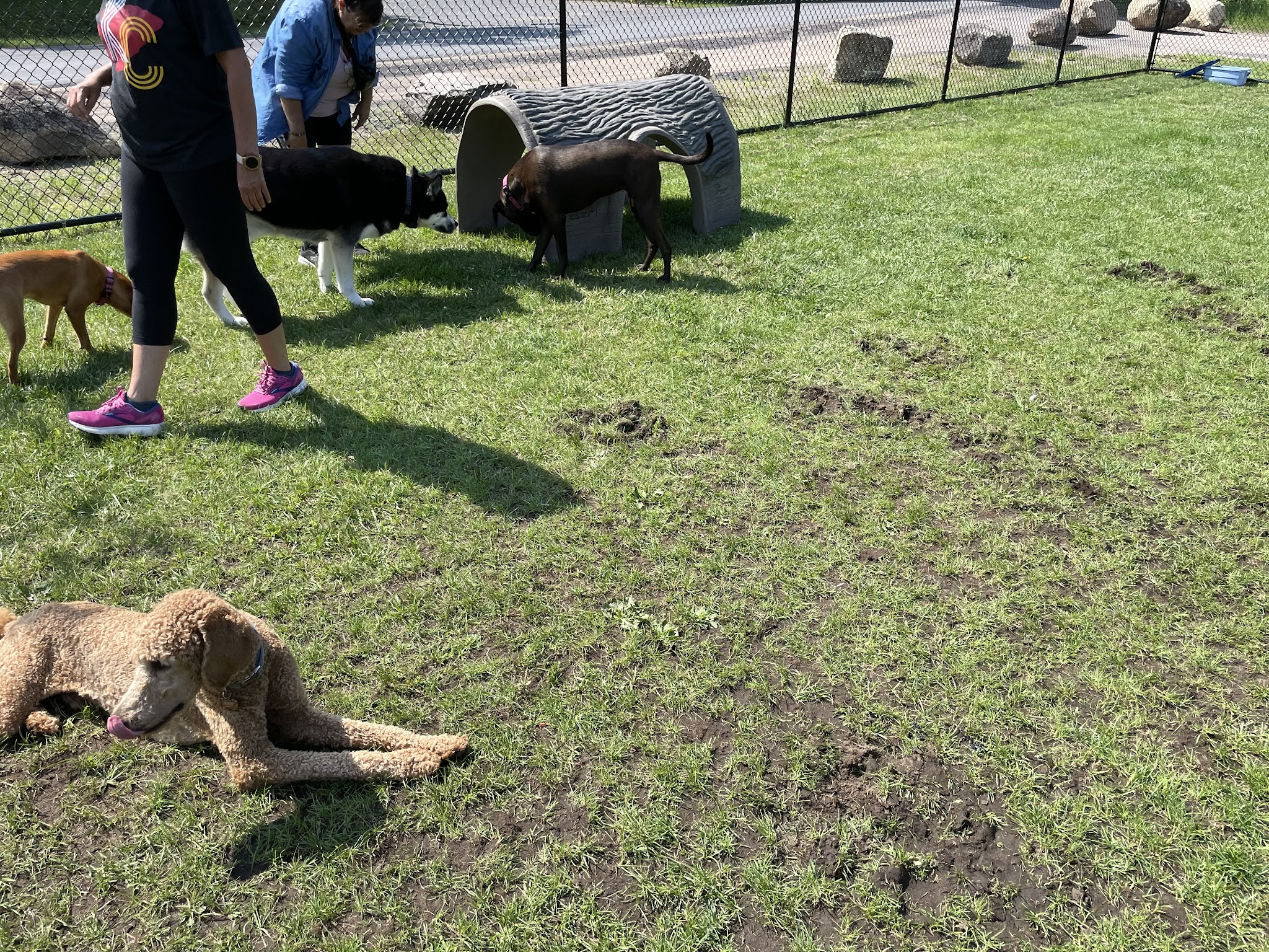 Dog Park - Old Forge, NY