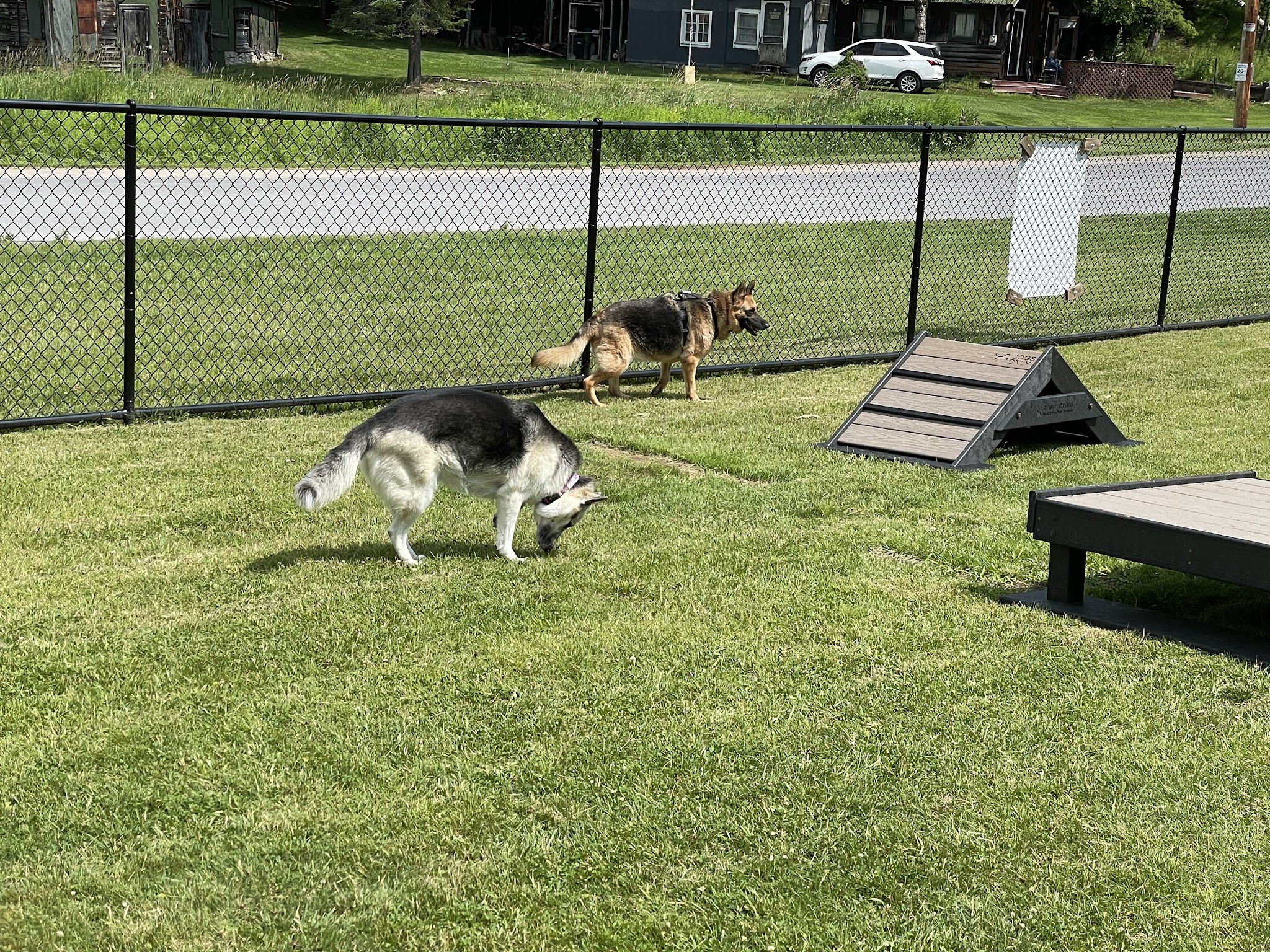 Dog Park - Old Forge, NY