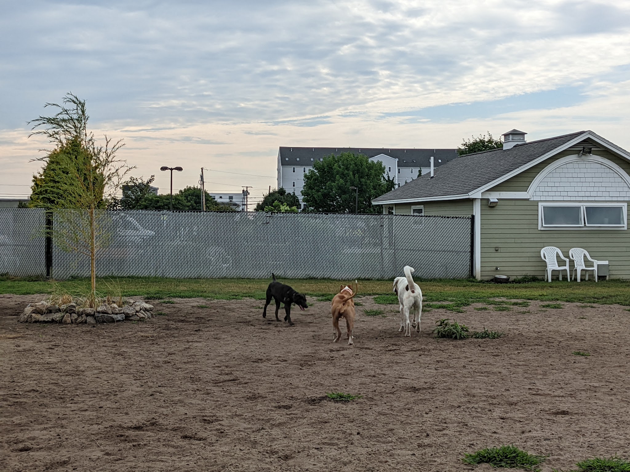 K9 Veteran's Memorial Dog Park - Old Orchard Beach, ME