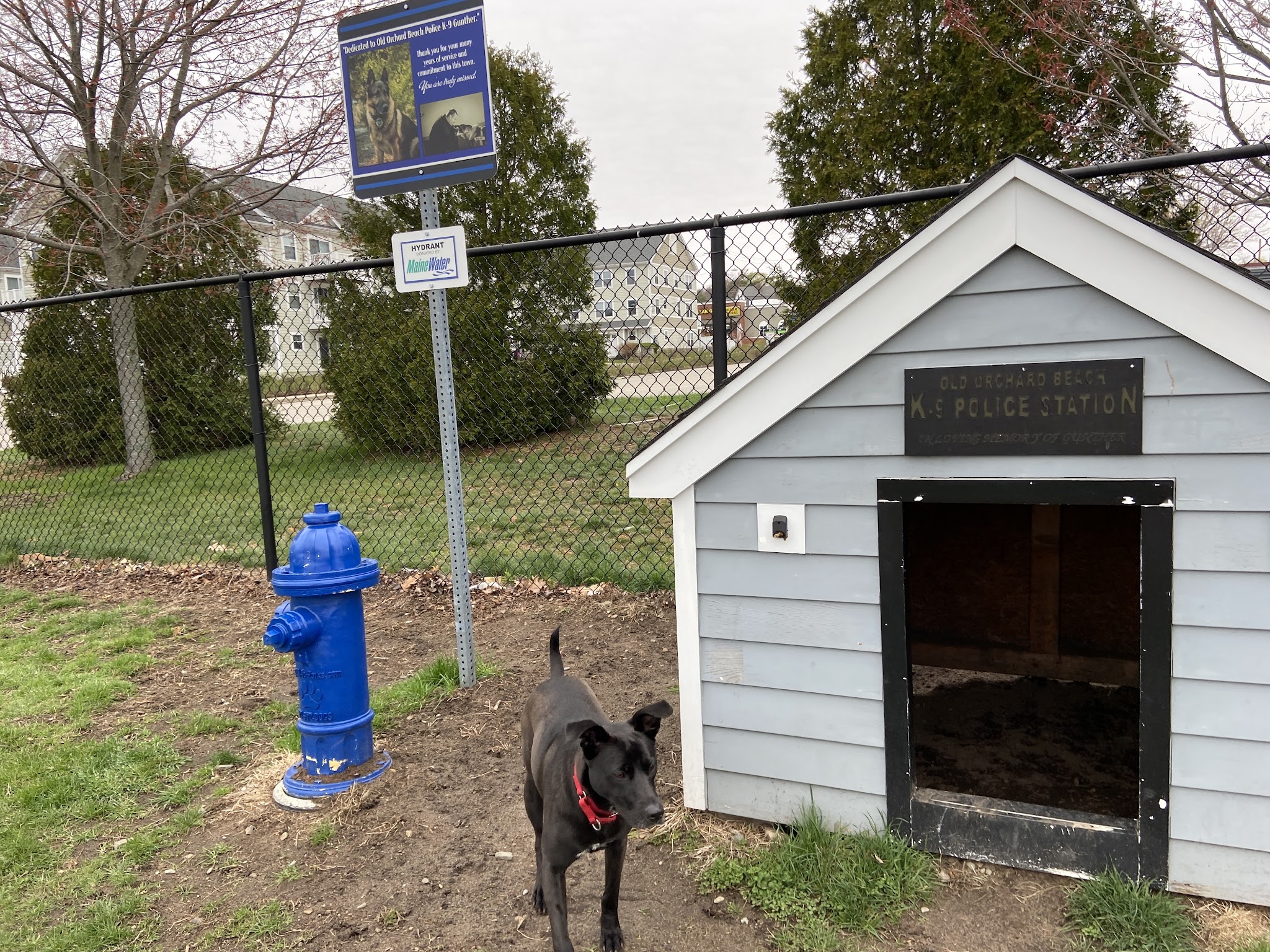 K9 Veteran's Memorial Dog Park - Old Orchard Beach, ME