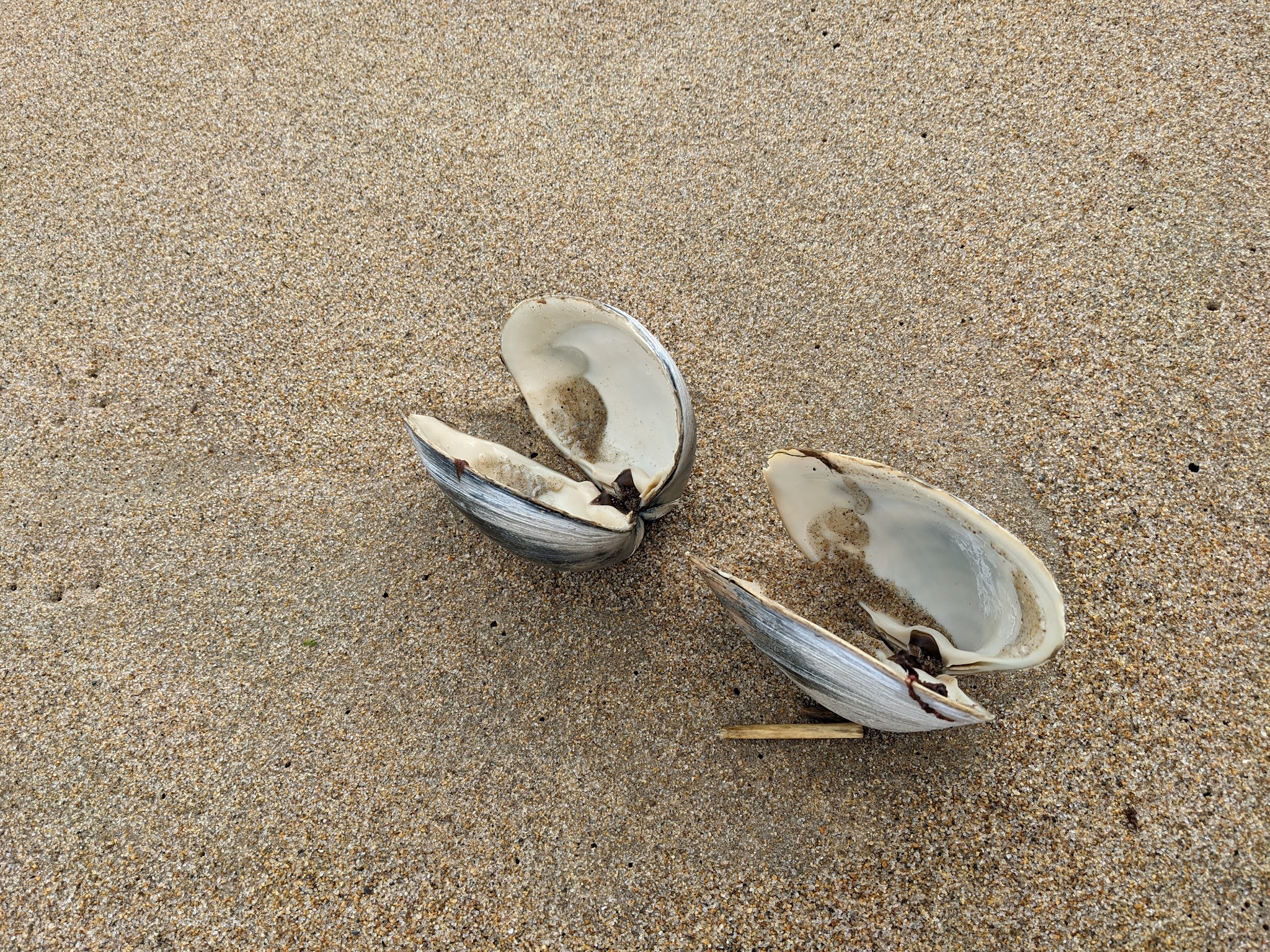 Ocean Park Memorial Bandstand - Old Orchard Beach, ME