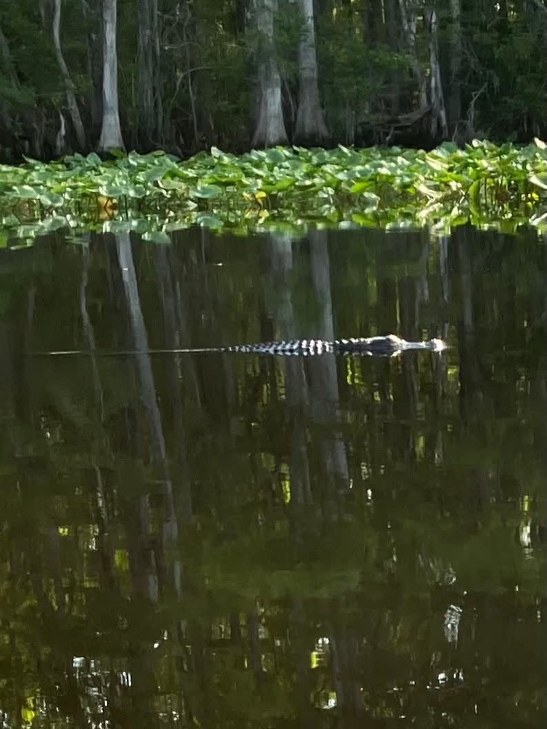 Nature Coast State Trail Parking - Old Town, FL