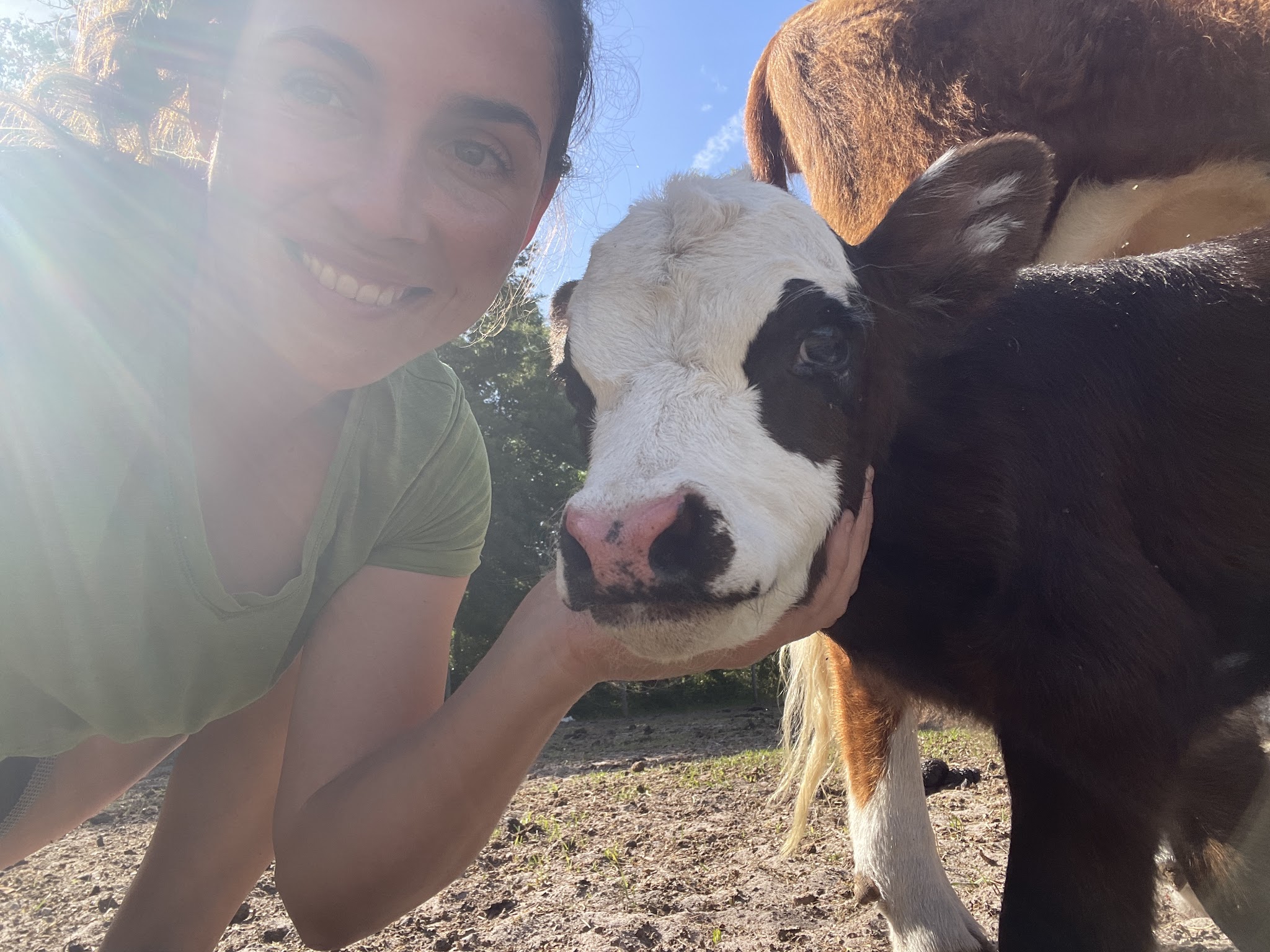 Old Town Oasis - Old Town, FL