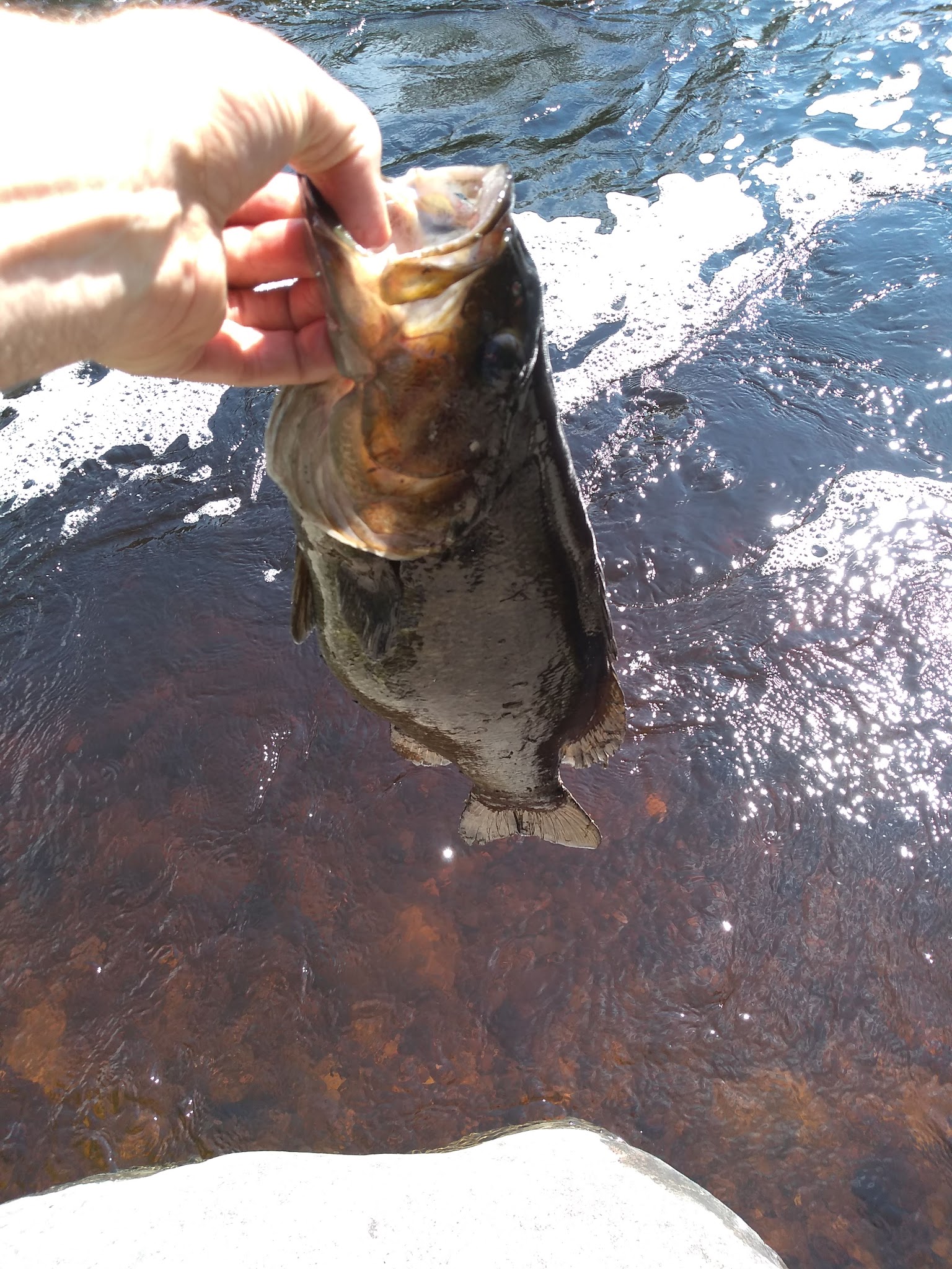 Coombs Park - Old Town, ME