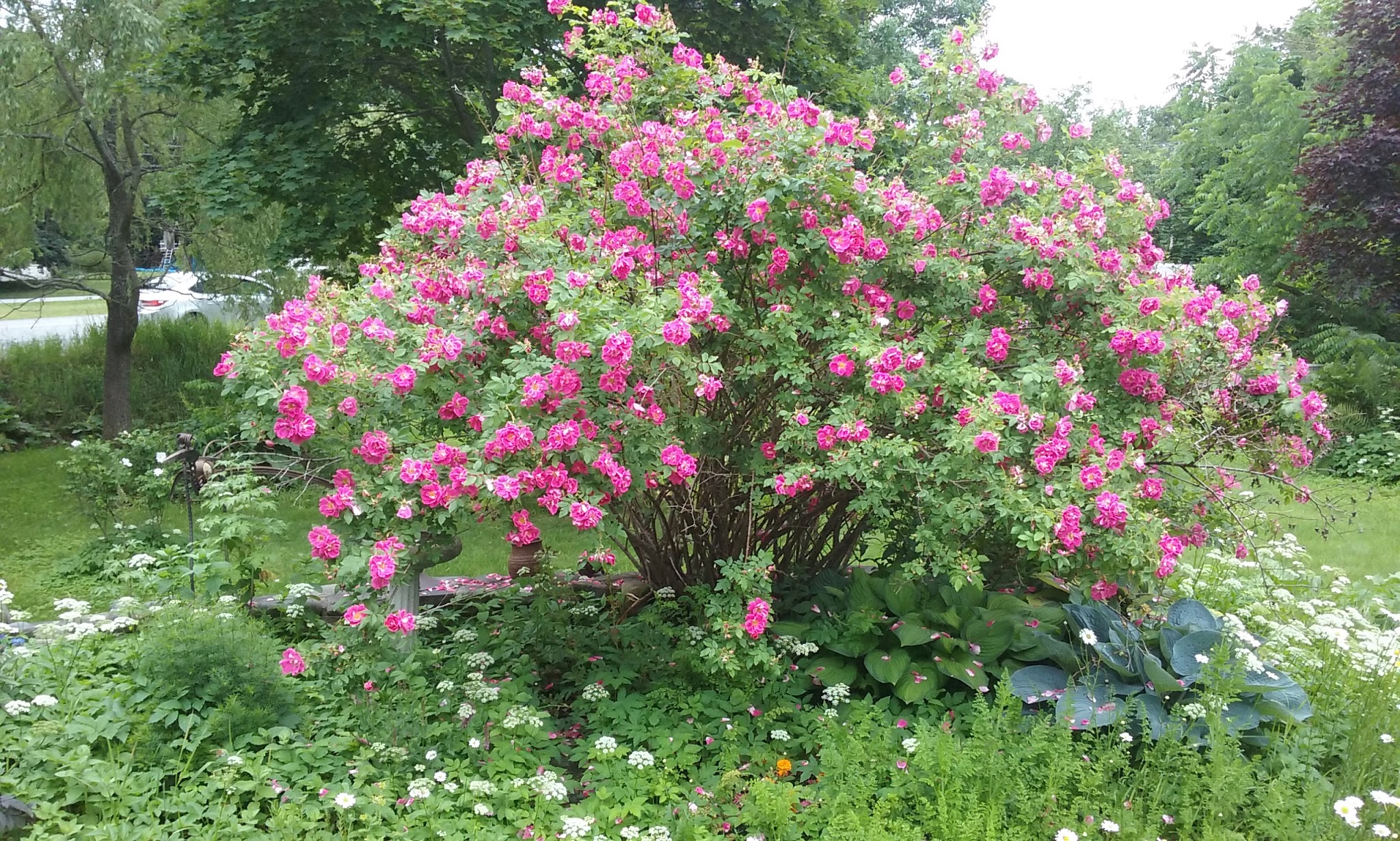 Coombs Park - Old Town, ME