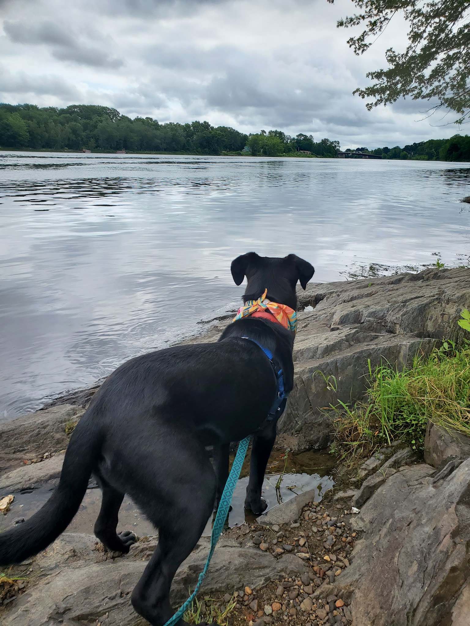 Fourth Street Park - Old Town, ME