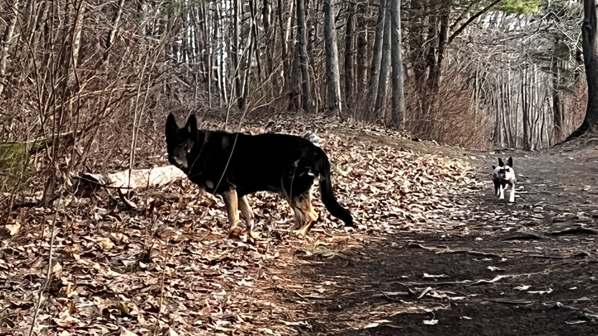 Fourth Street Park - Old Town, ME
