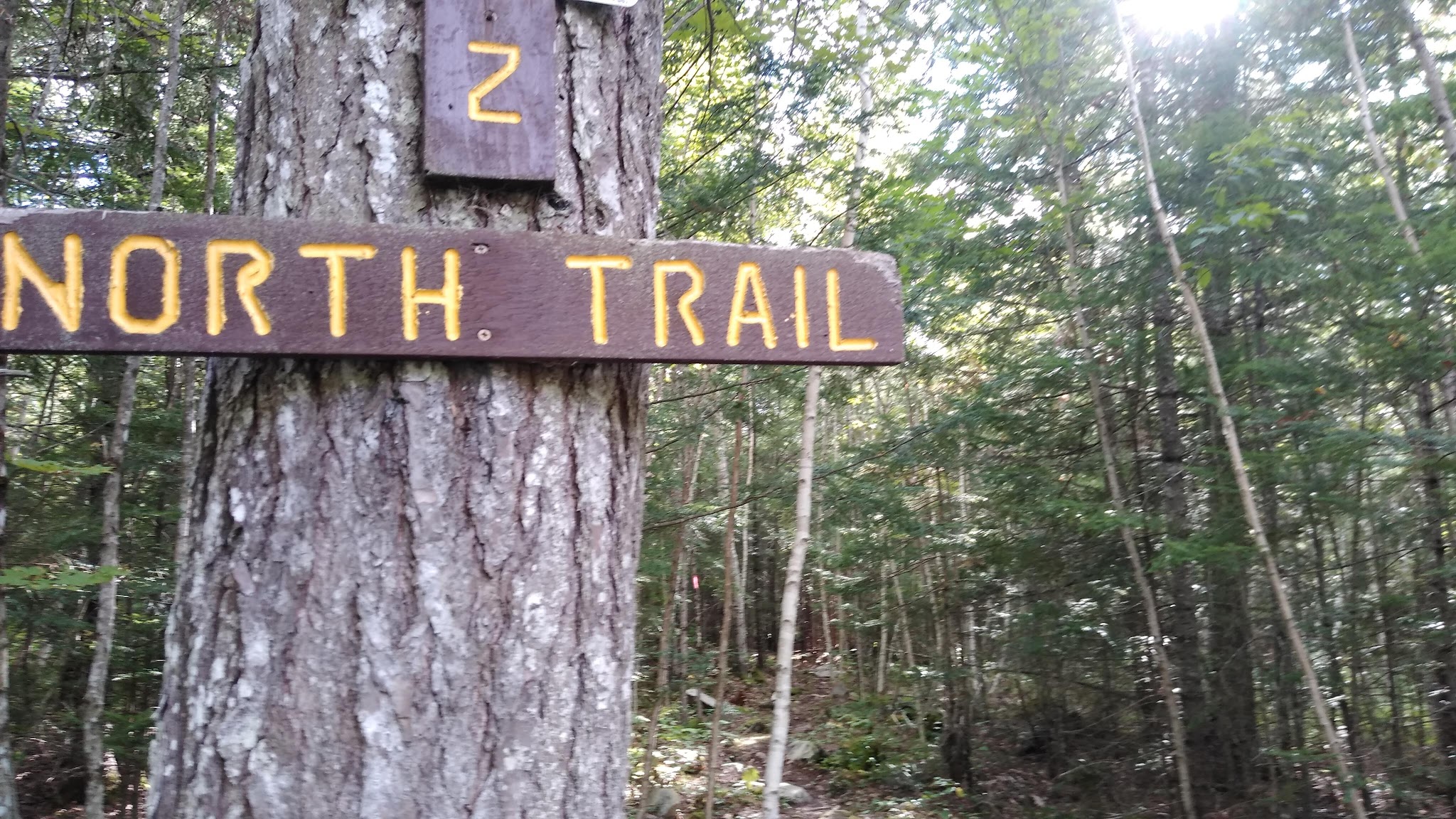 Perch Pond Recreational Trails - Old Town, ME