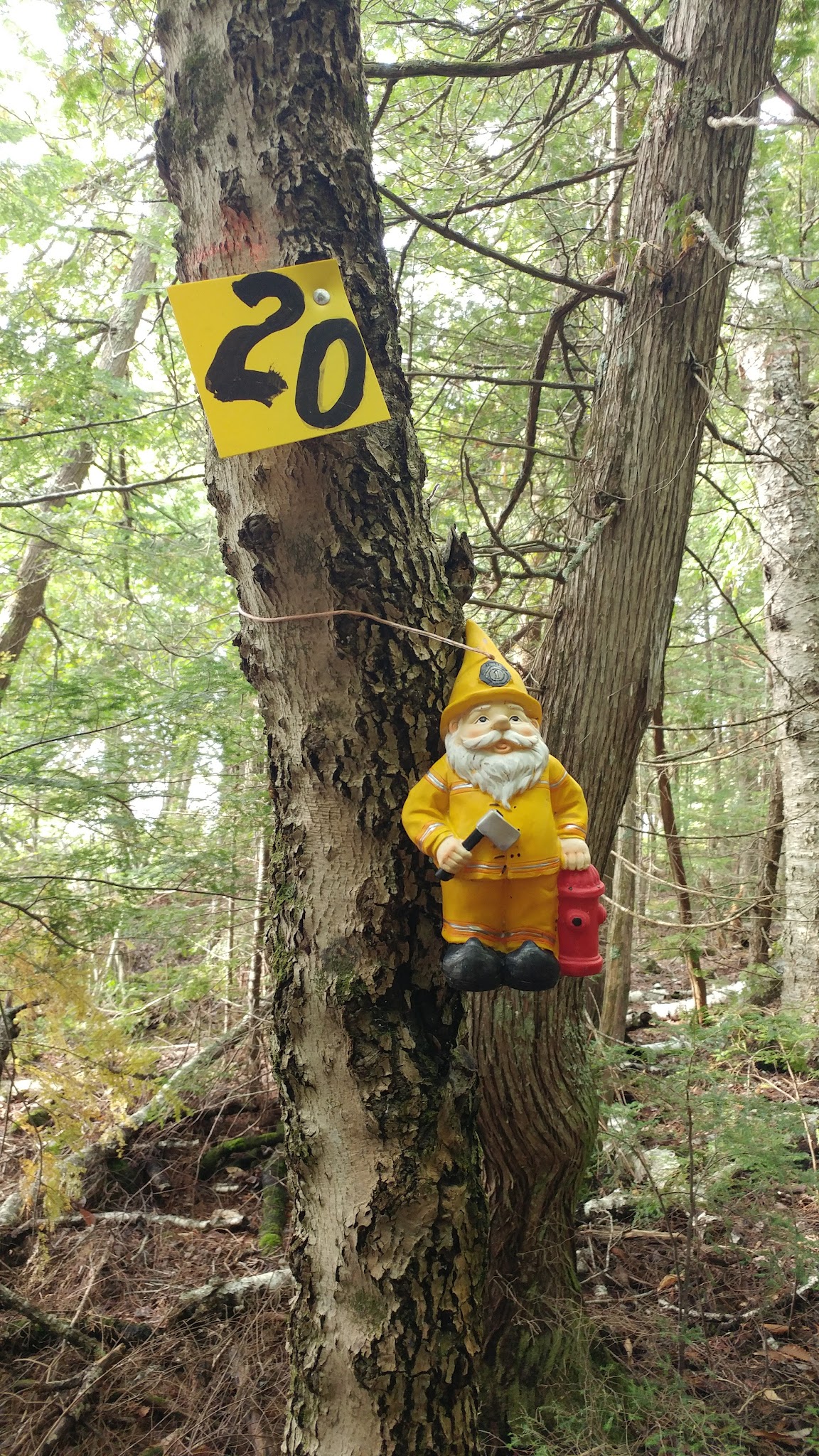 Perch Pond Recreational Trails - Old Town, ME