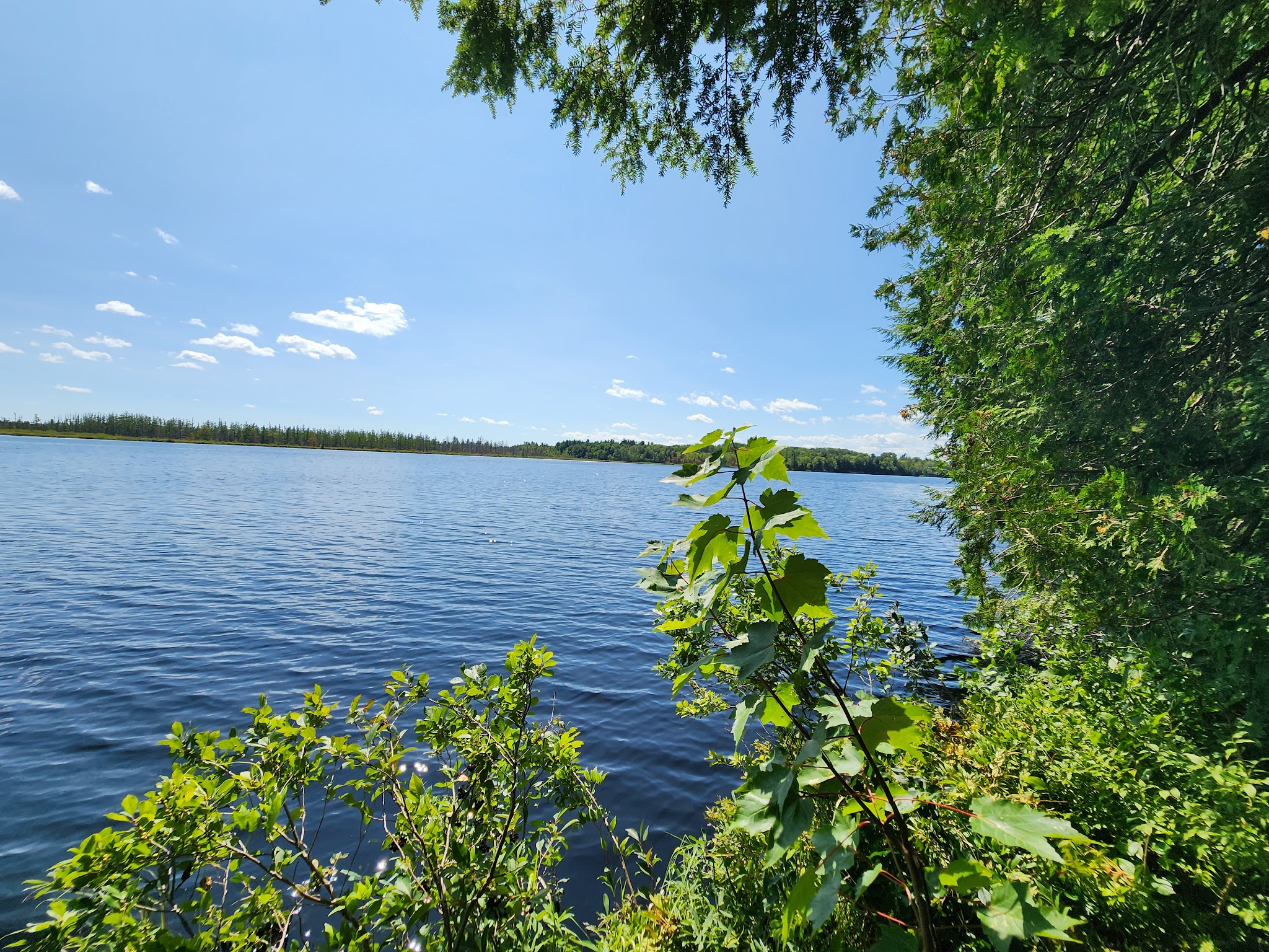 Perch Pond Recreational Trails - Old Town, ME