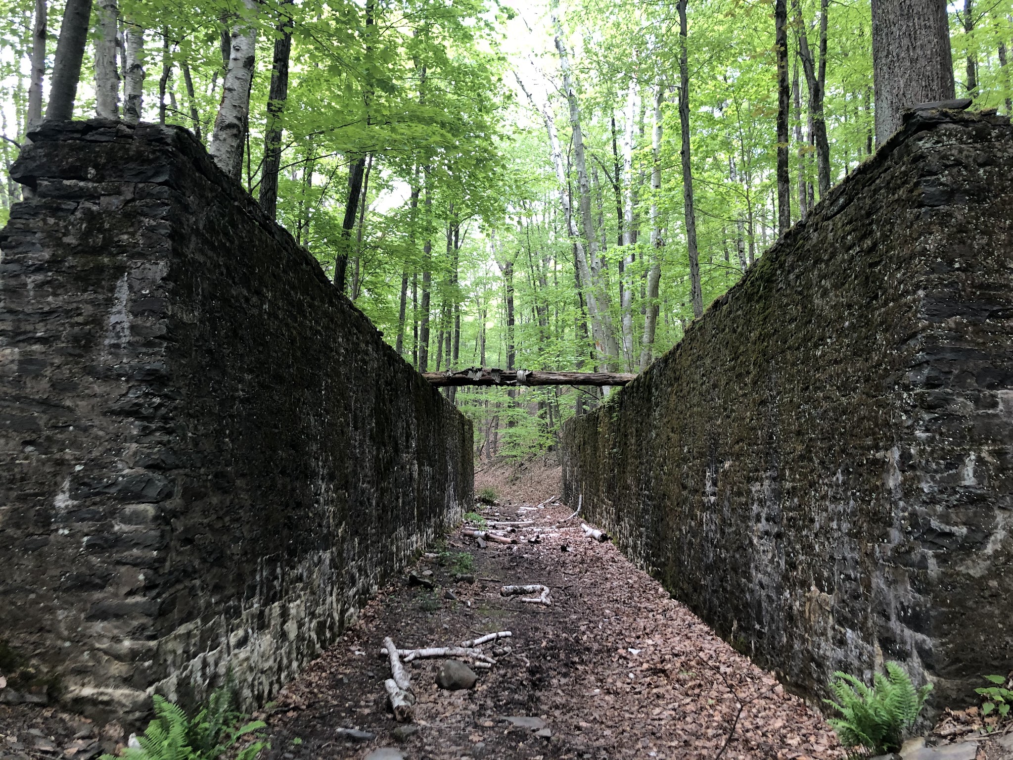 Ashokan Quarry Trail - Olivebridge, NY