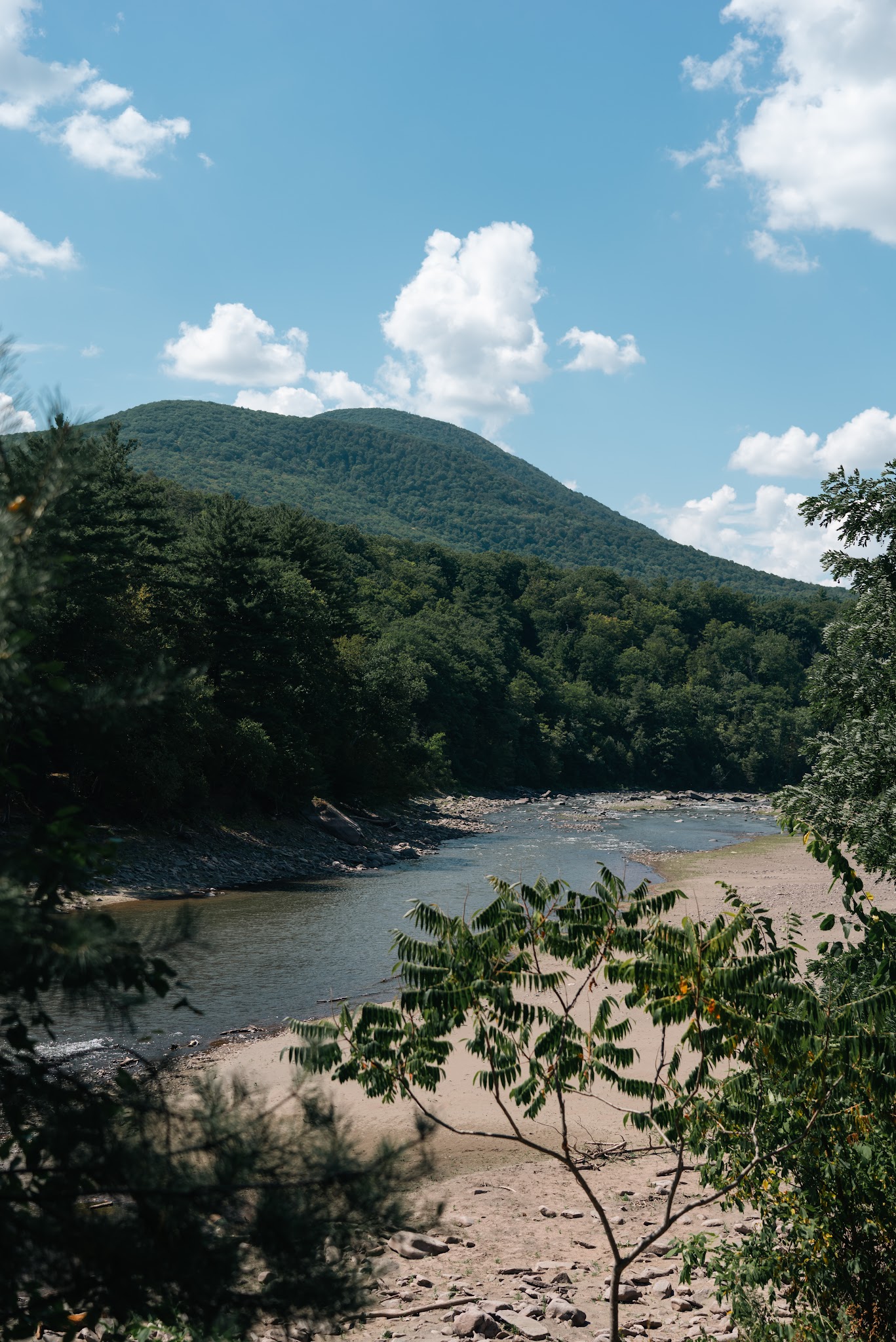 Ashokan Rail Trail - Olivebridge, NY