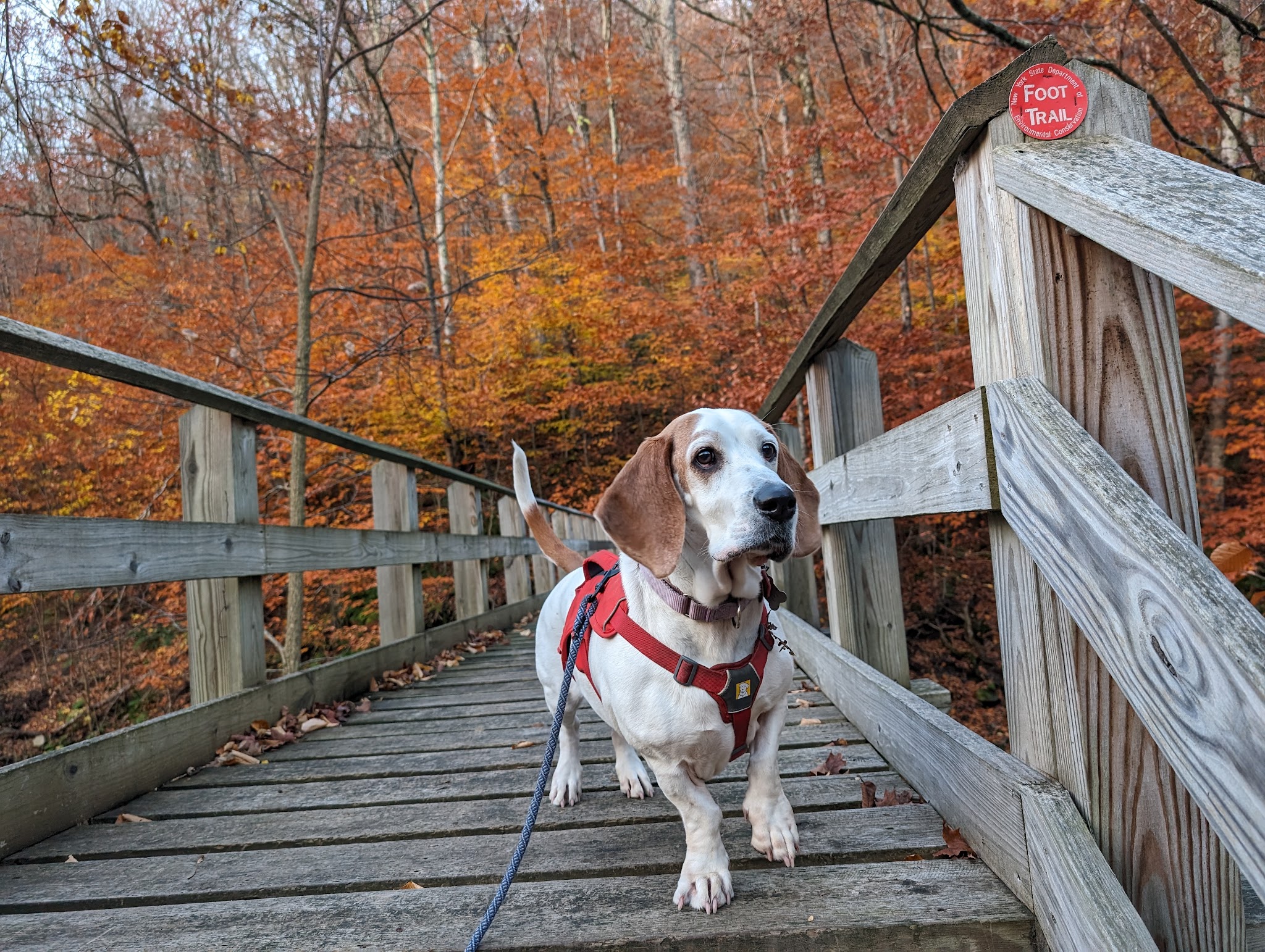 McKenley Hollow Trailhead Parking - Oliverea, NY