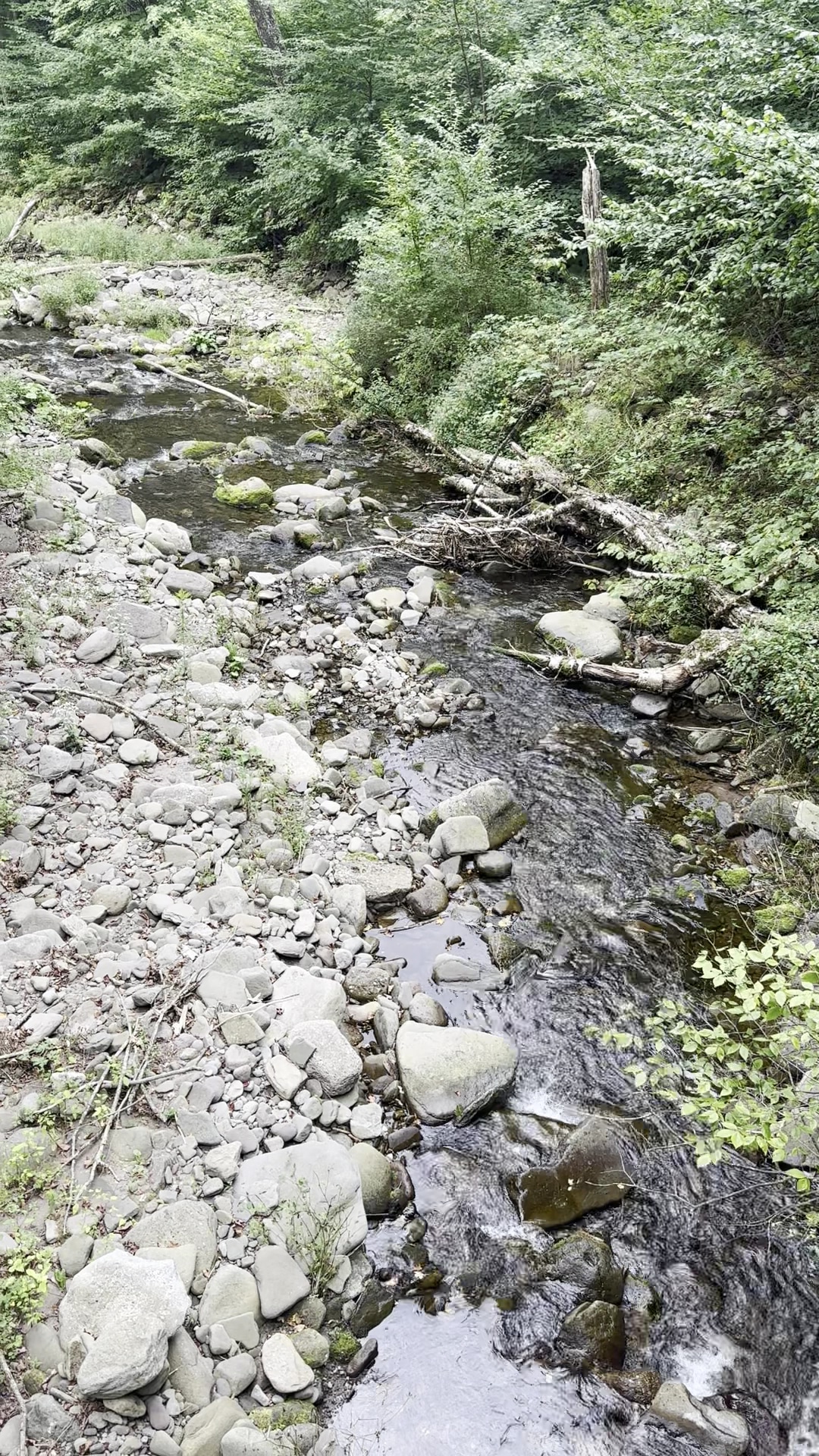 McKenley Hollow Trailhead Parking - Oliverea, NY