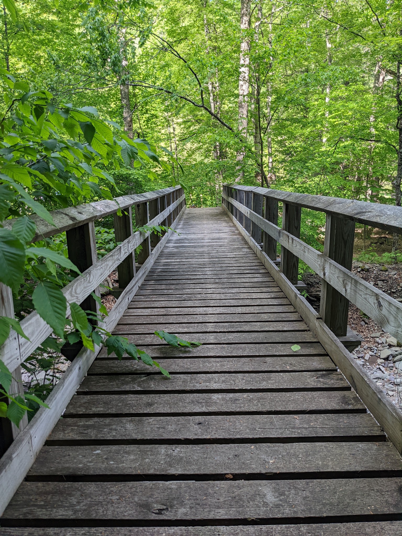 McKenley Hollow Trailhead Parking - Oliverea, NY