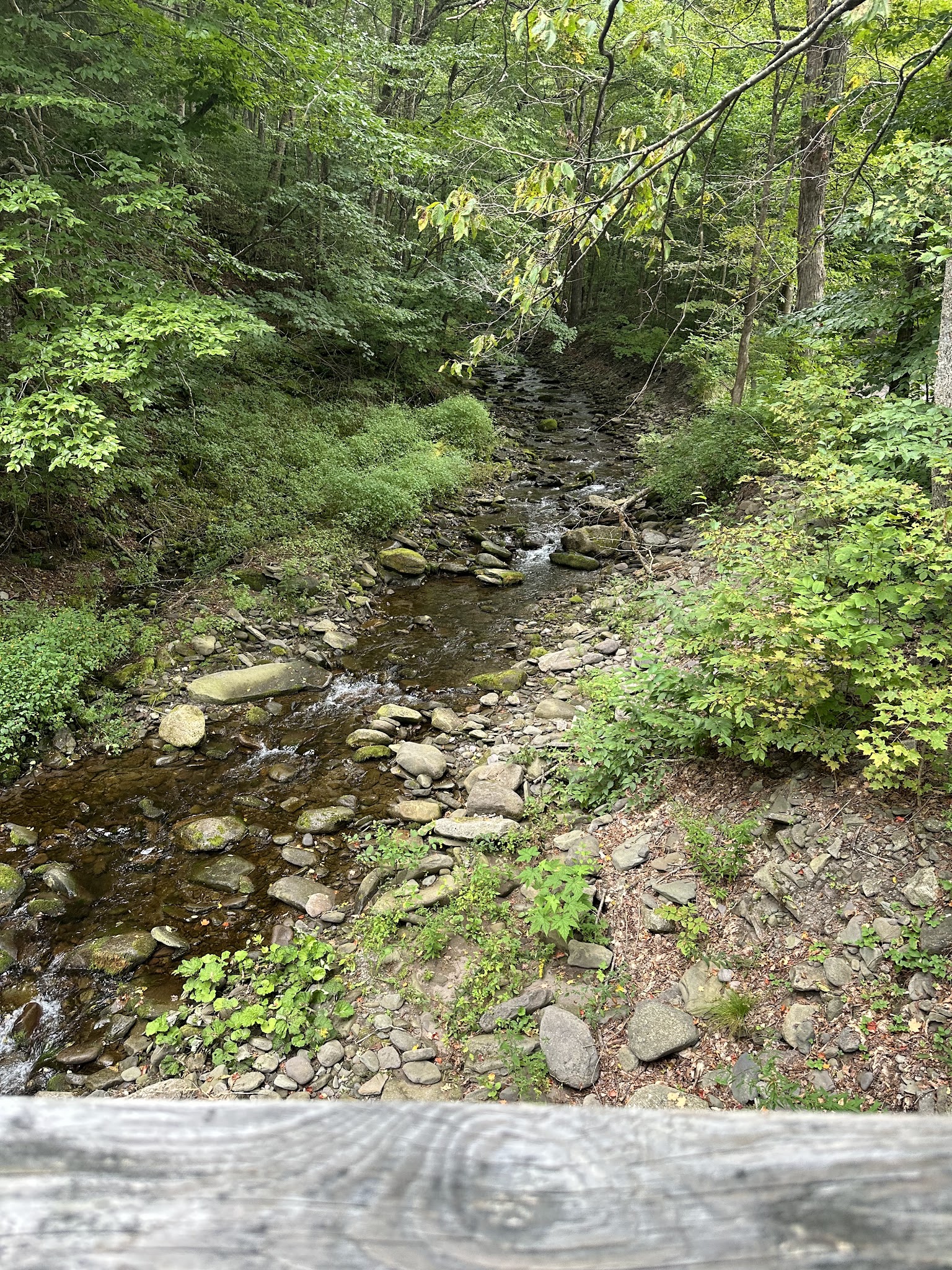 McKenley Hollow Trailhead Parking - Oliverea, NY