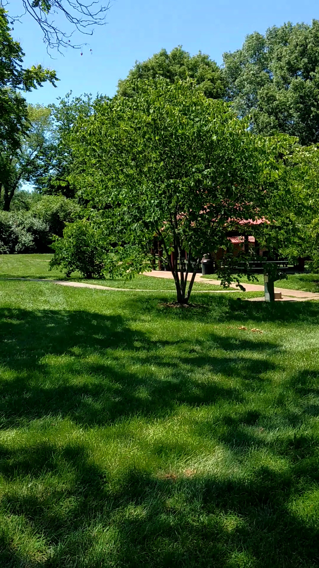 Villa Park - Olivette, MO