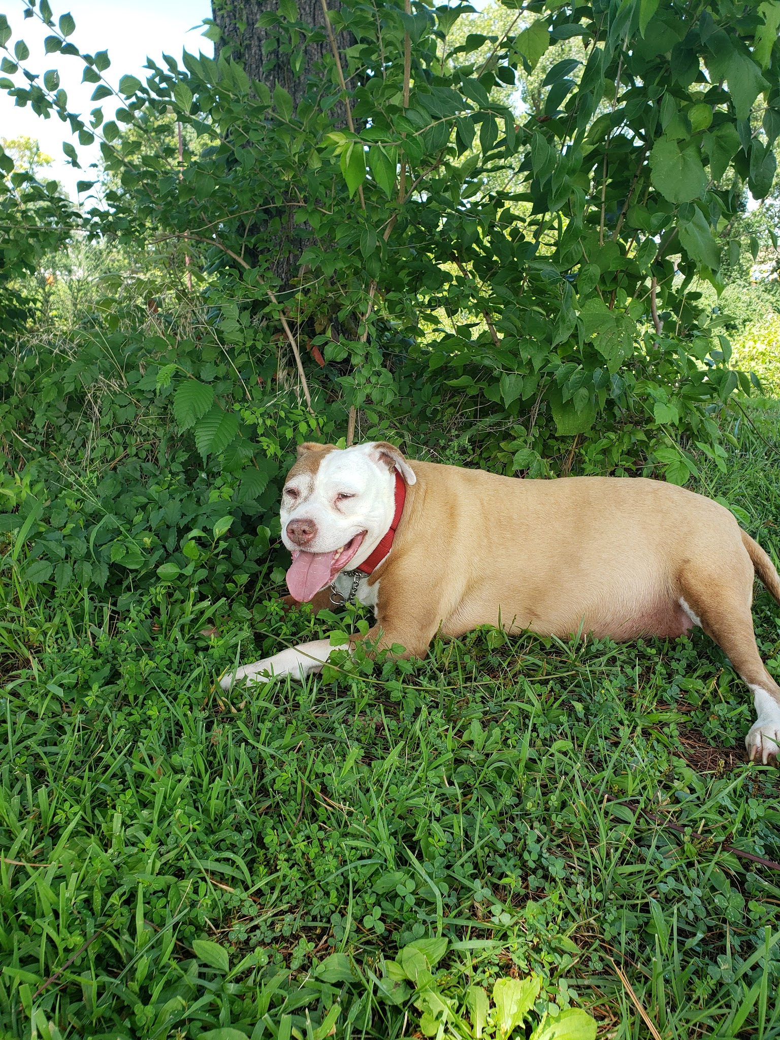 Warson Park - Olivette, MO