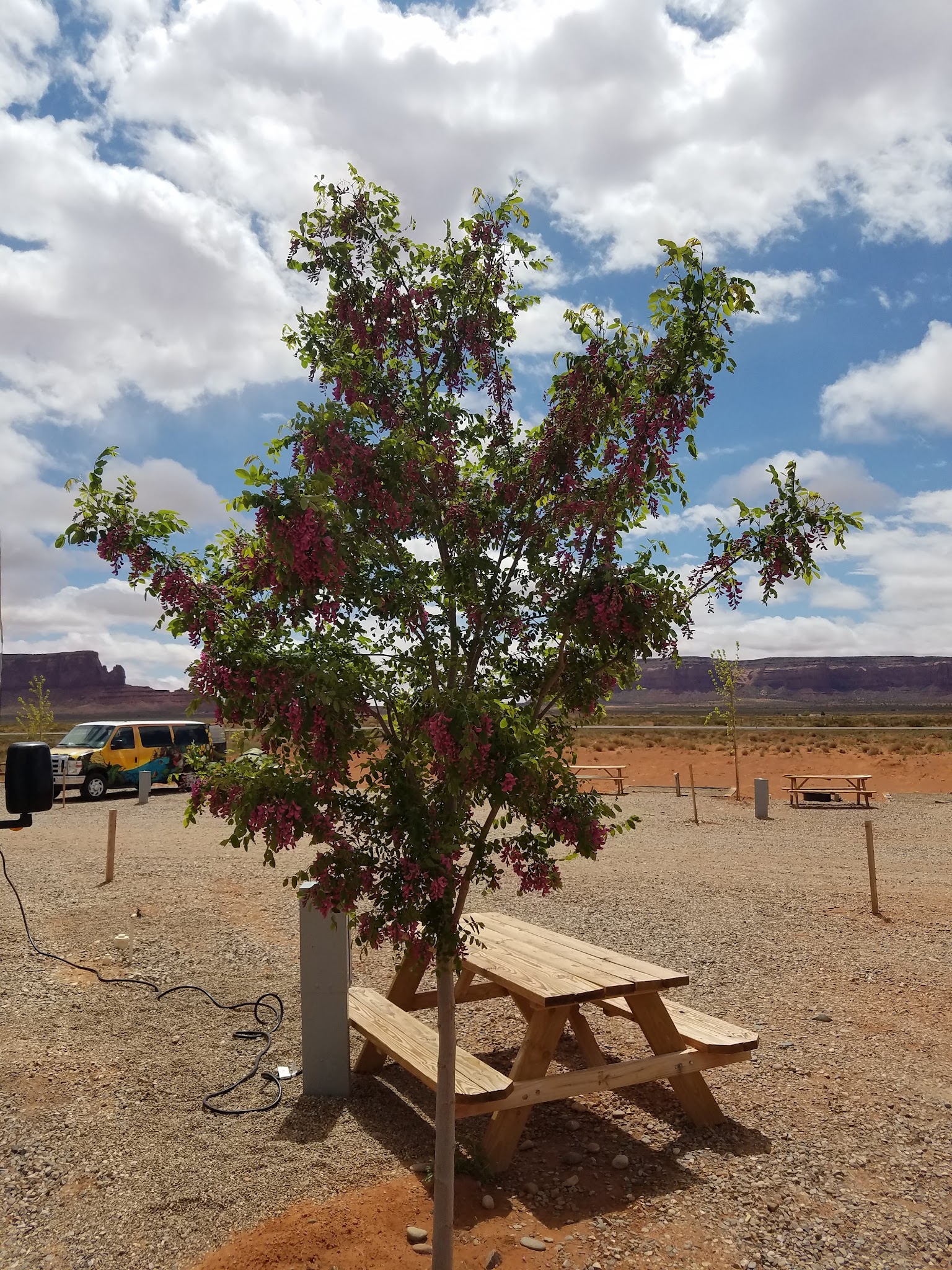 Monument Valley KOA Journey - Oljato-Monument Valley, UT