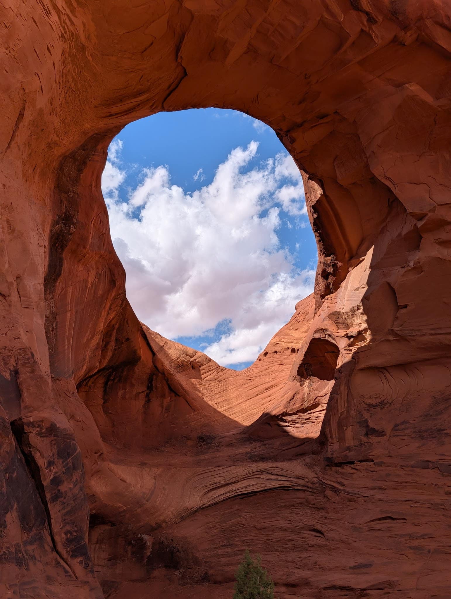 Monument Valley Tribal Park - Oljato-Monument Valley, UT
