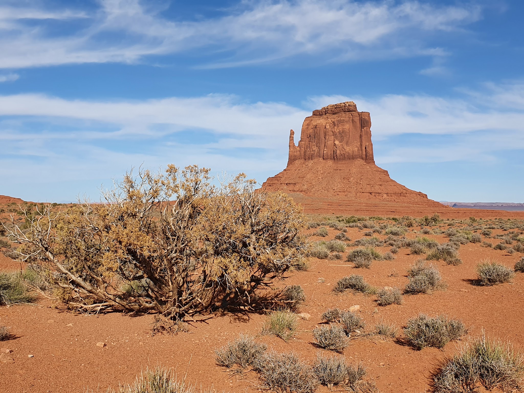 Wildcat Trail - Oljato-Monument Valley, UT