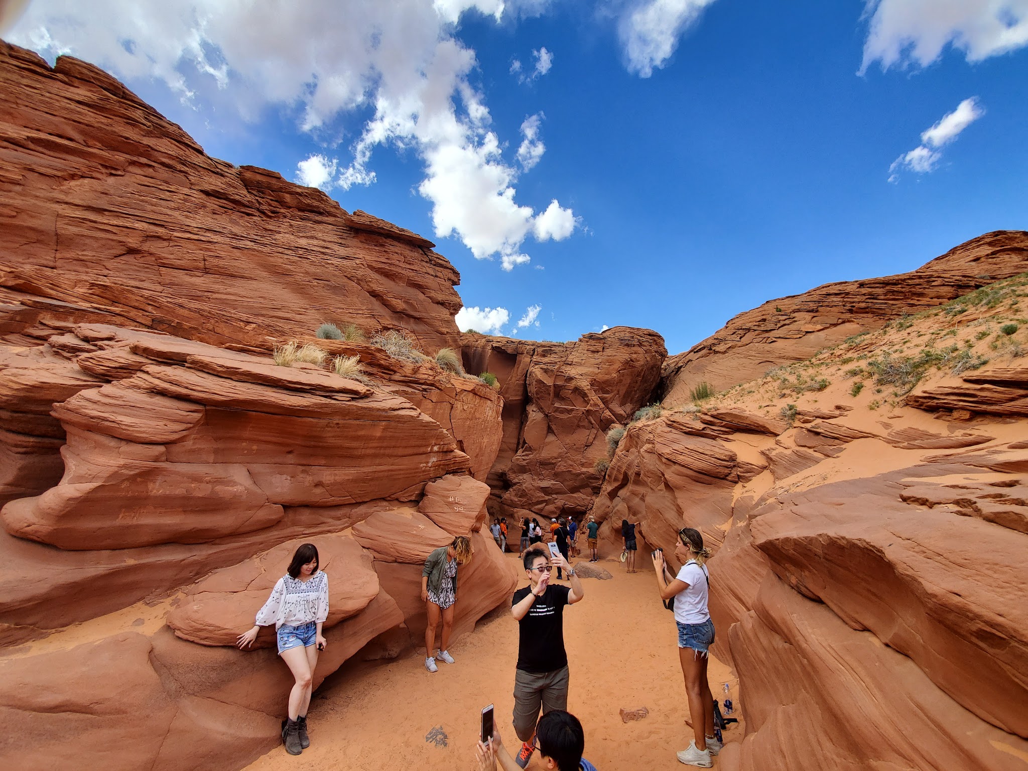 Wildcat Trail - Oljato-Monument Valley, UT