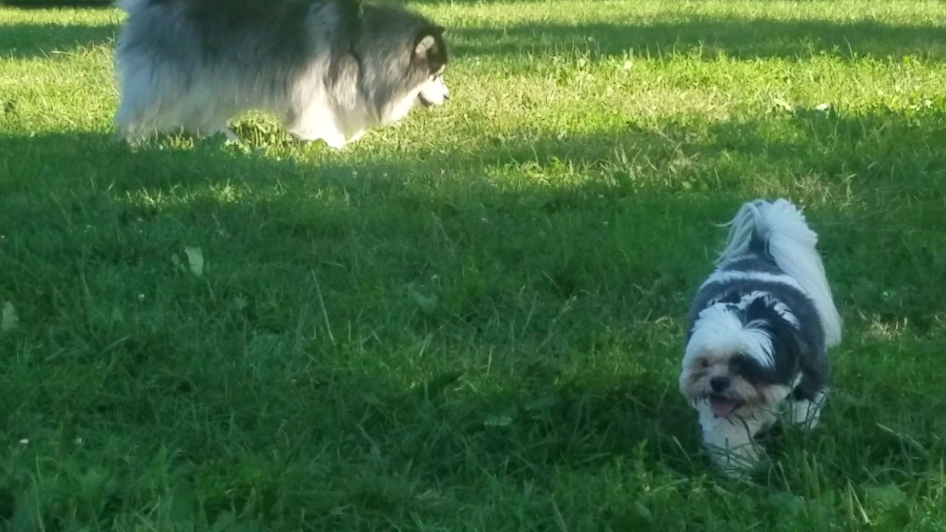 Olney Manor Recreational Park - Olney, MD