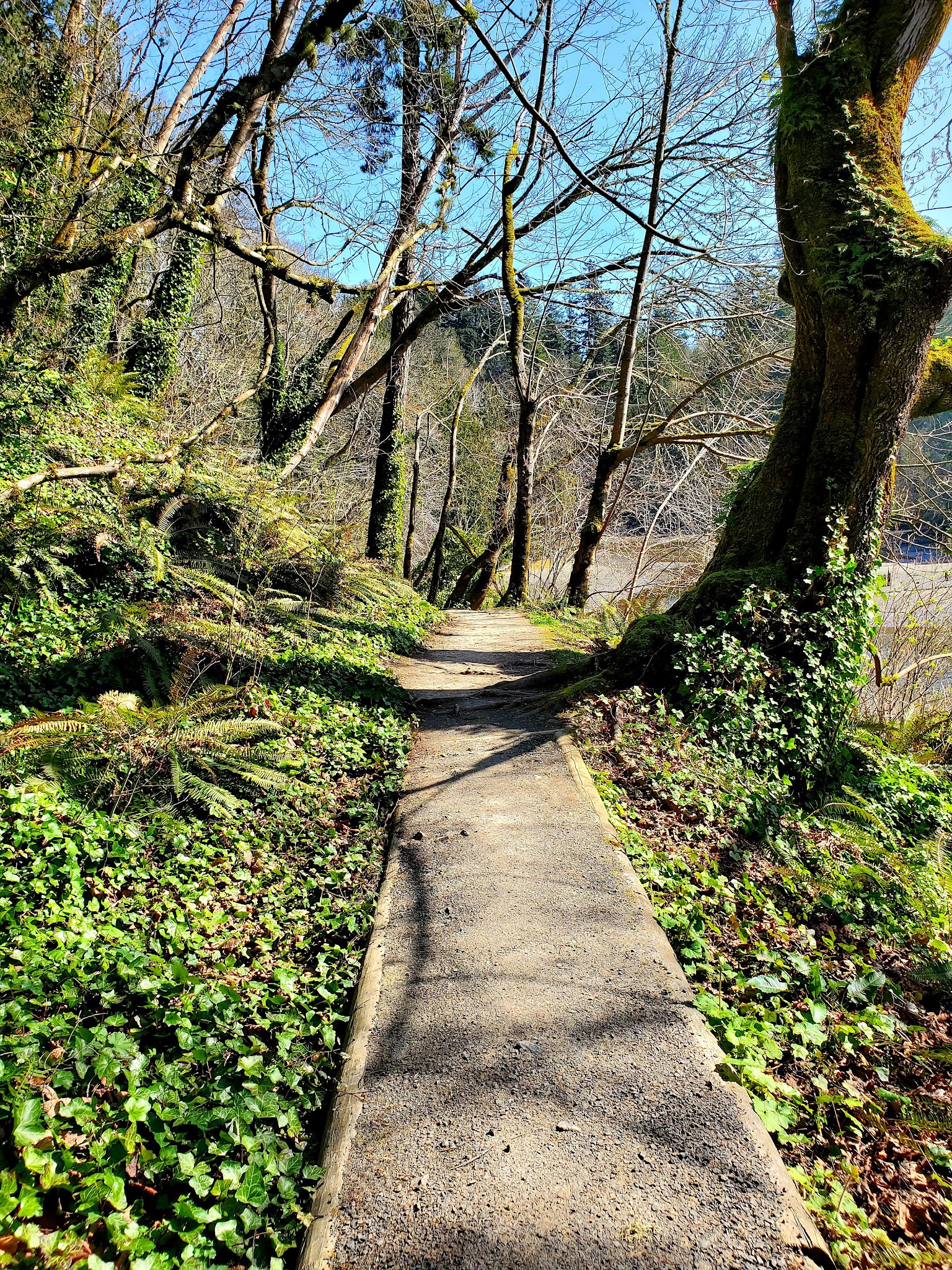 Squaxin Park Trailhead - Olympia, WA