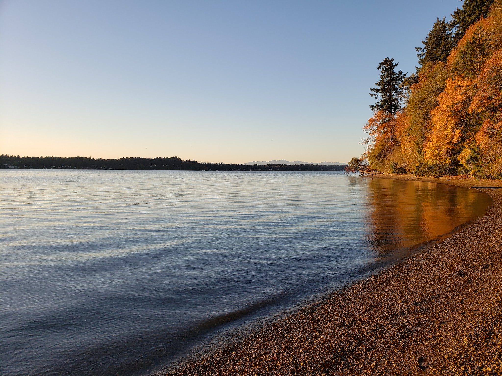 Squaxin Park Trailhead - Olympia, WA