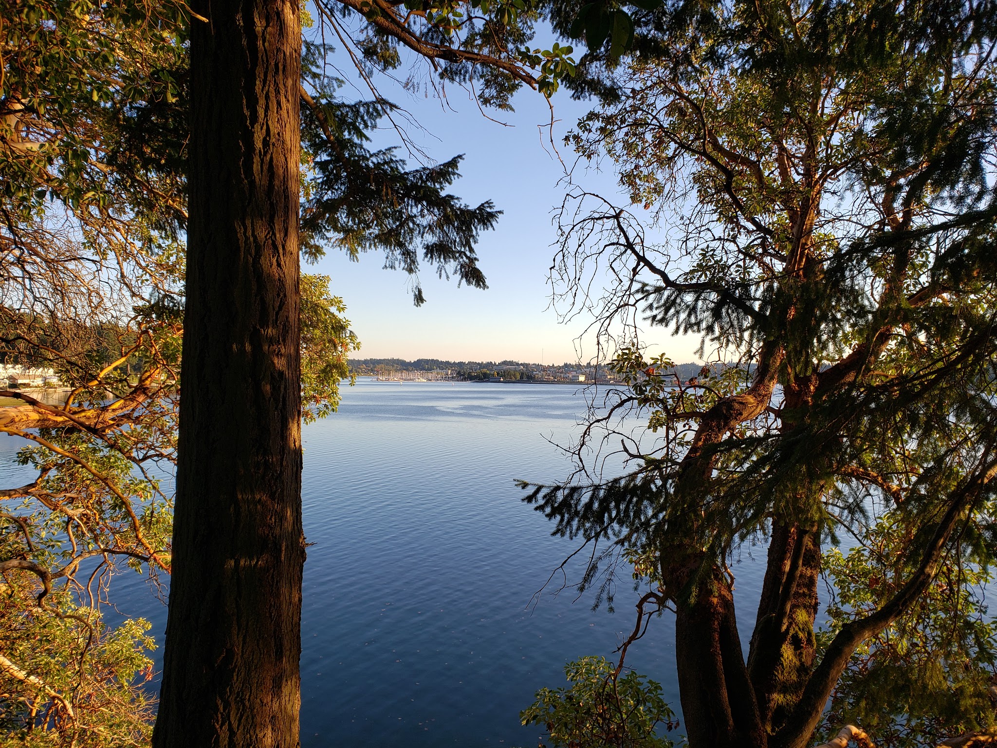 Squaxin Park Trailhead - Olympia, WA