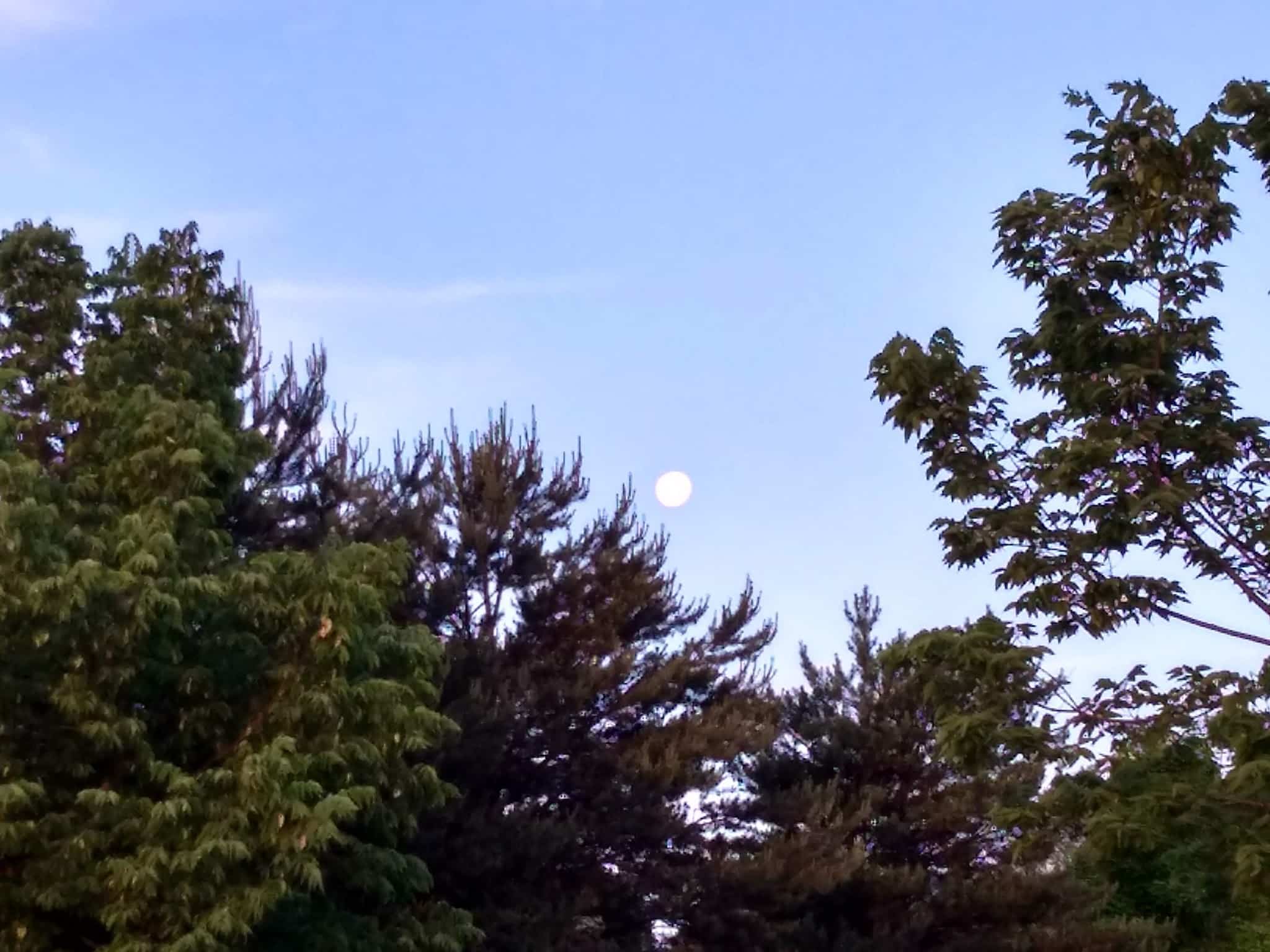 Susan Picotte Park - Omaha, NE