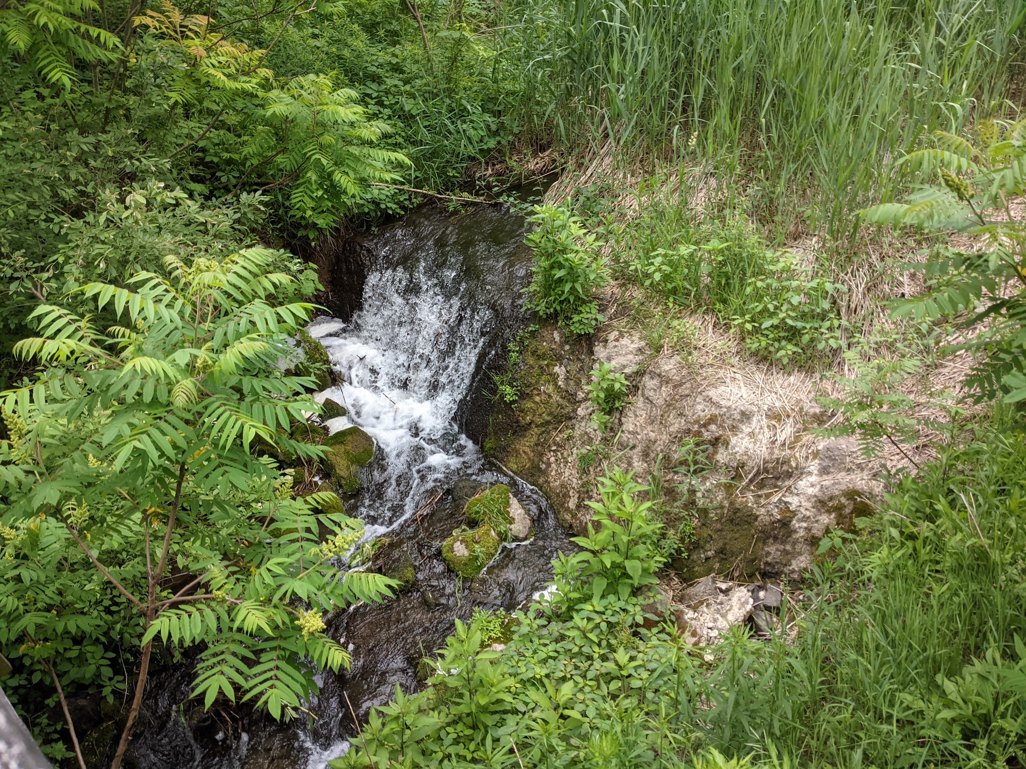 Mount Hope Park - Oneida, NY