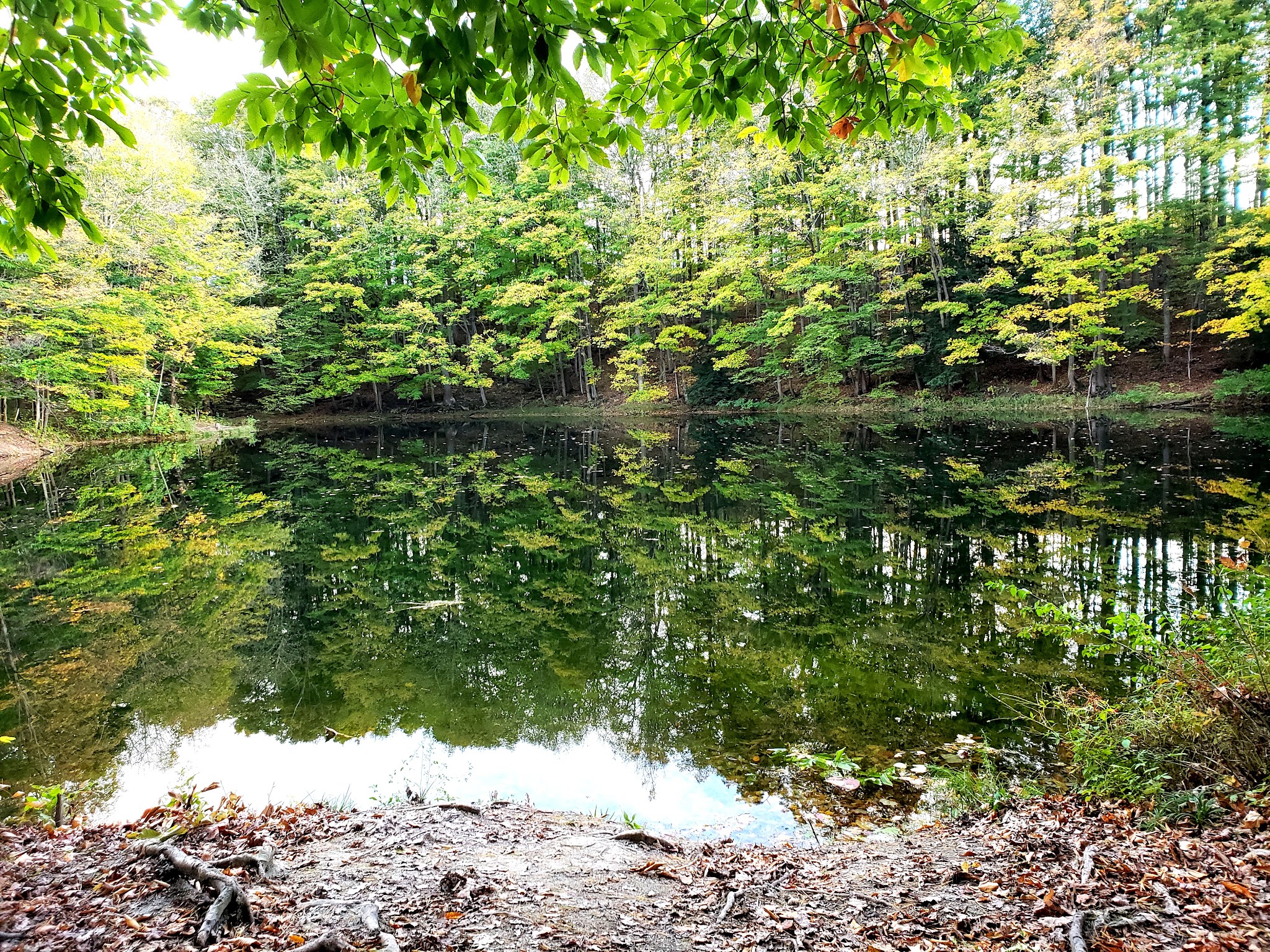 Mount Hope Park - Oneida, NY