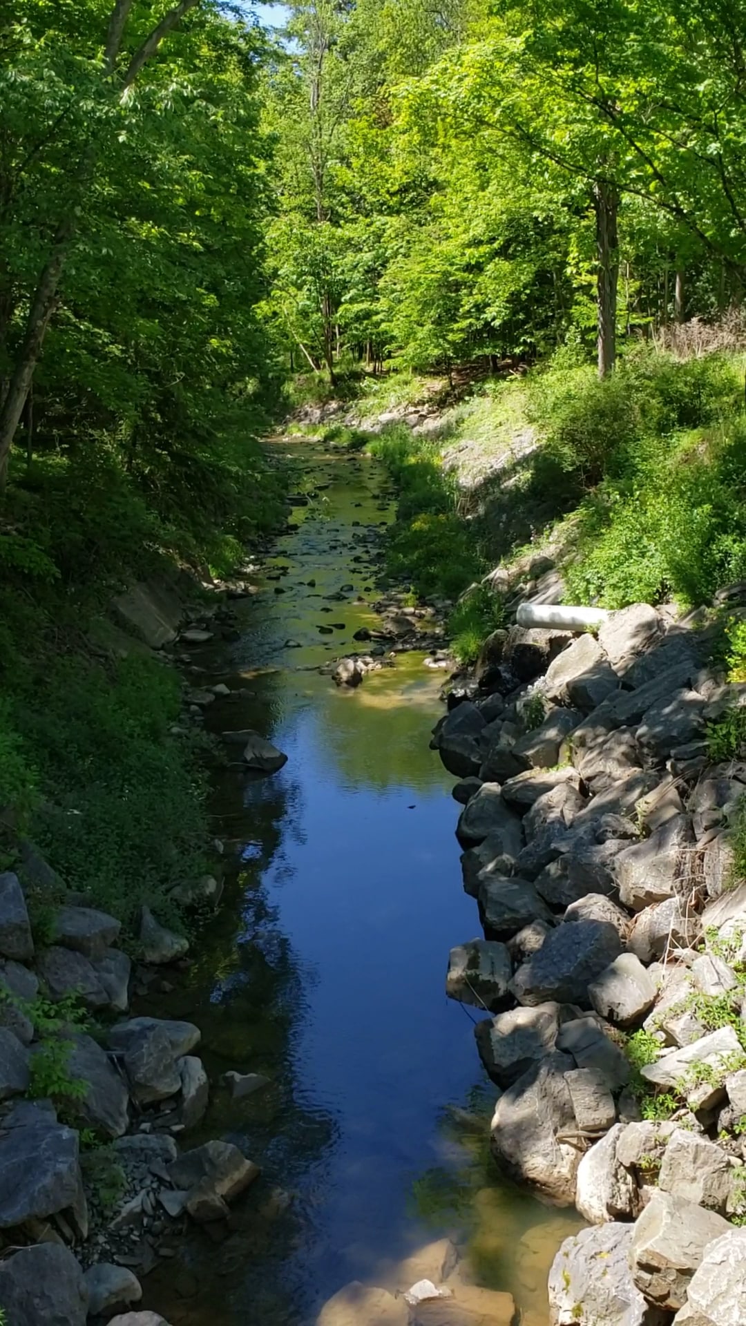 Wilber Park - Oneonta, NY