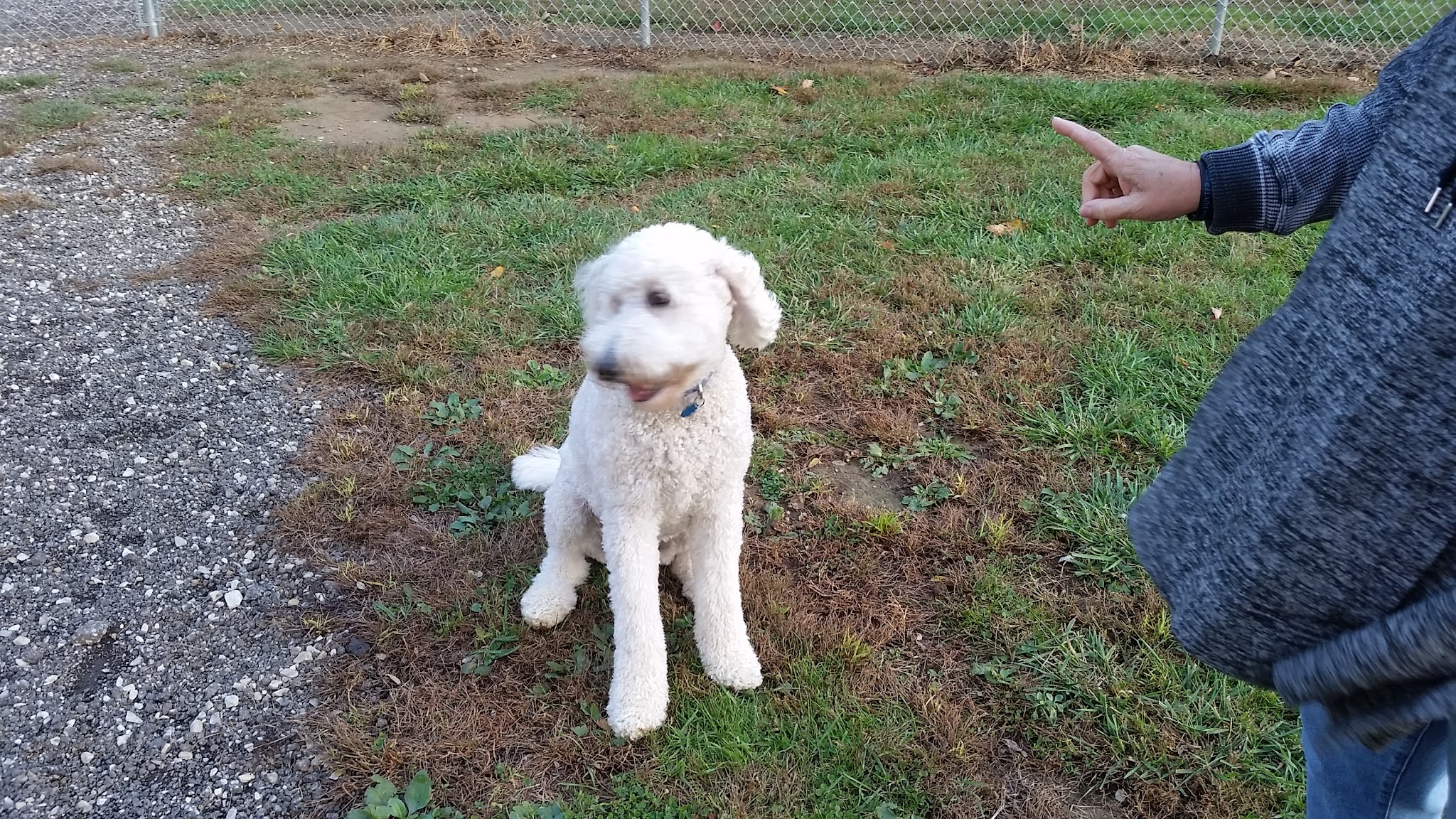 Maize Memorial Dog Park, llc - Ontario, OH