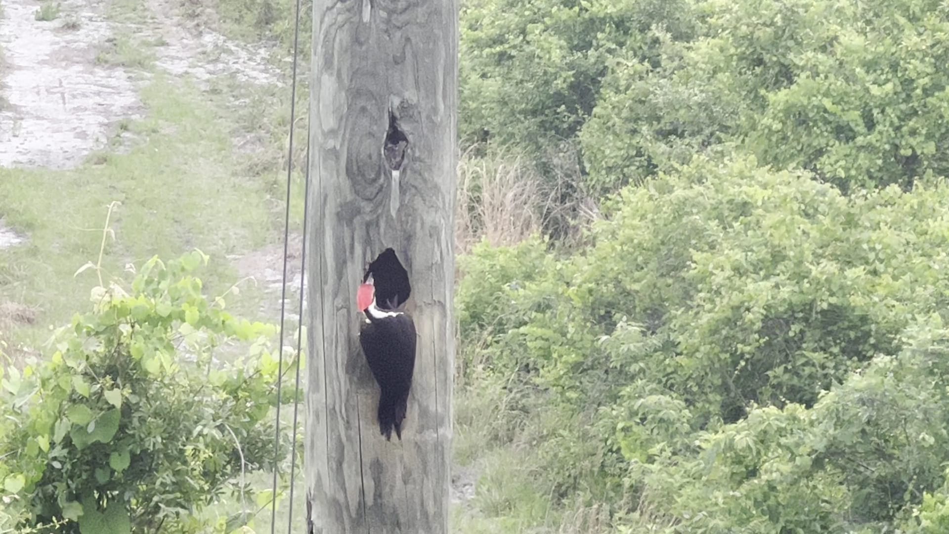 Spring to Spring Trail, Blue Spring Trailhead - Orange City, FL