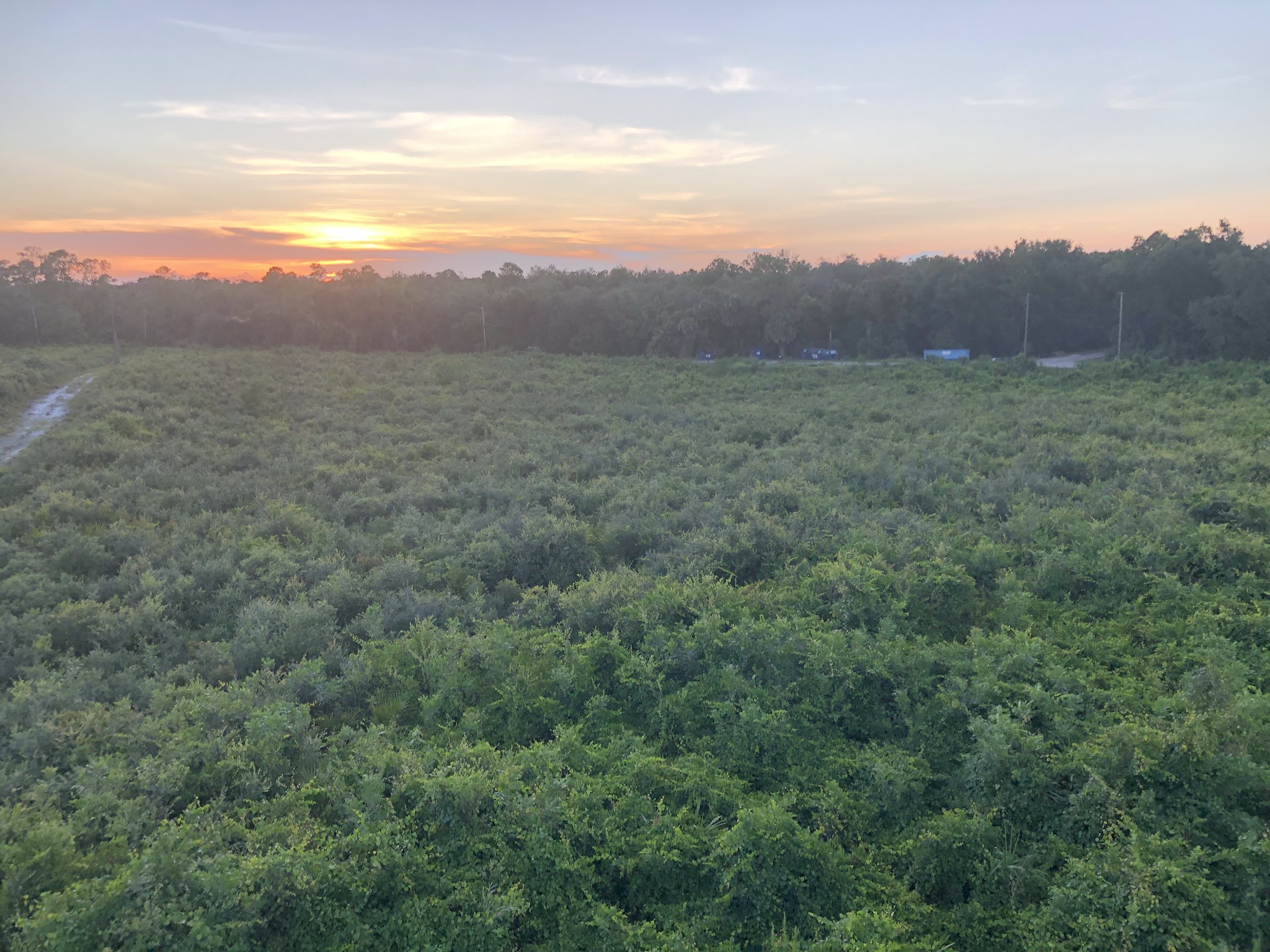 Spring to Spring Trail, Blue Spring Trailhead - Orange City, FL