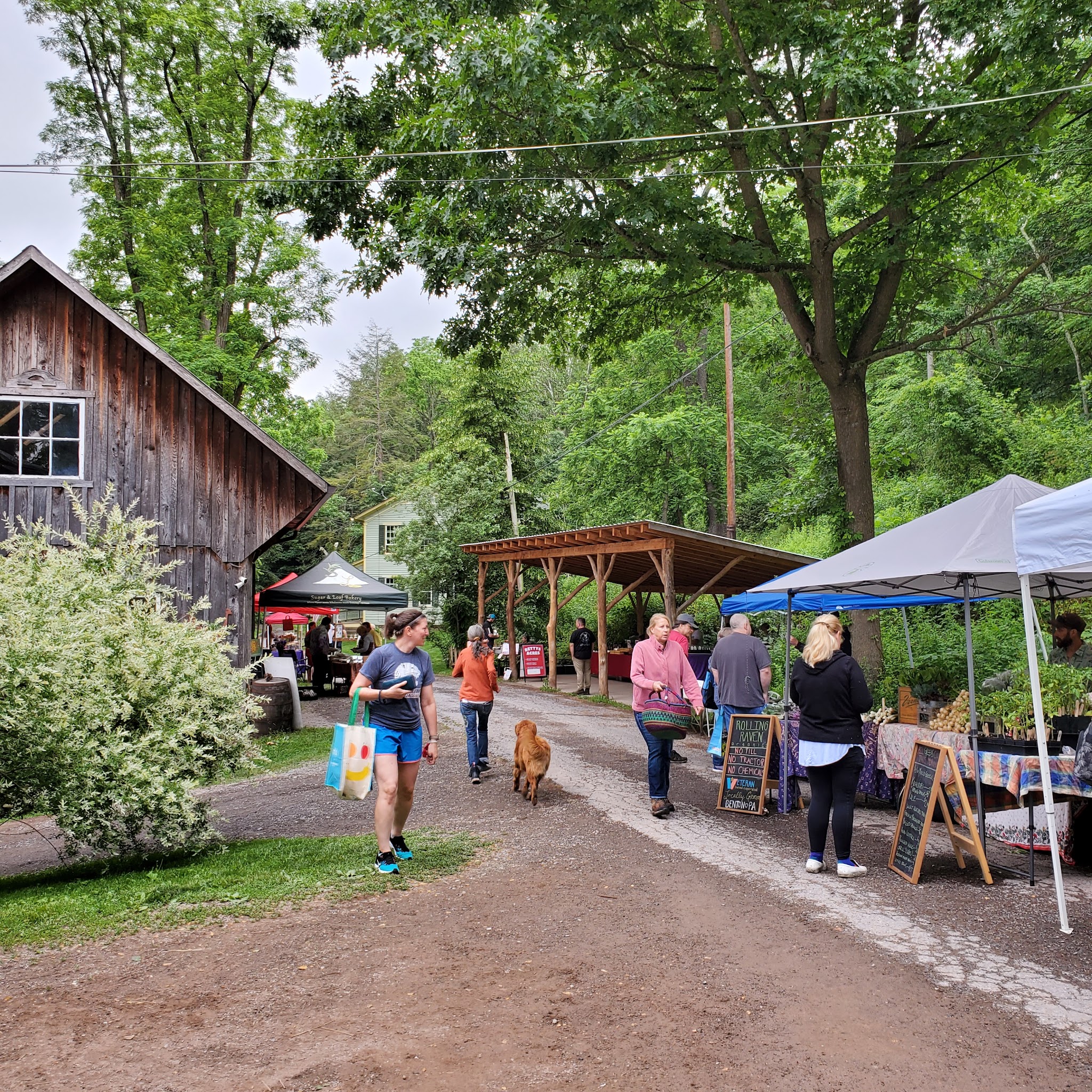 Forks Farm & Market - Orangeville, PA